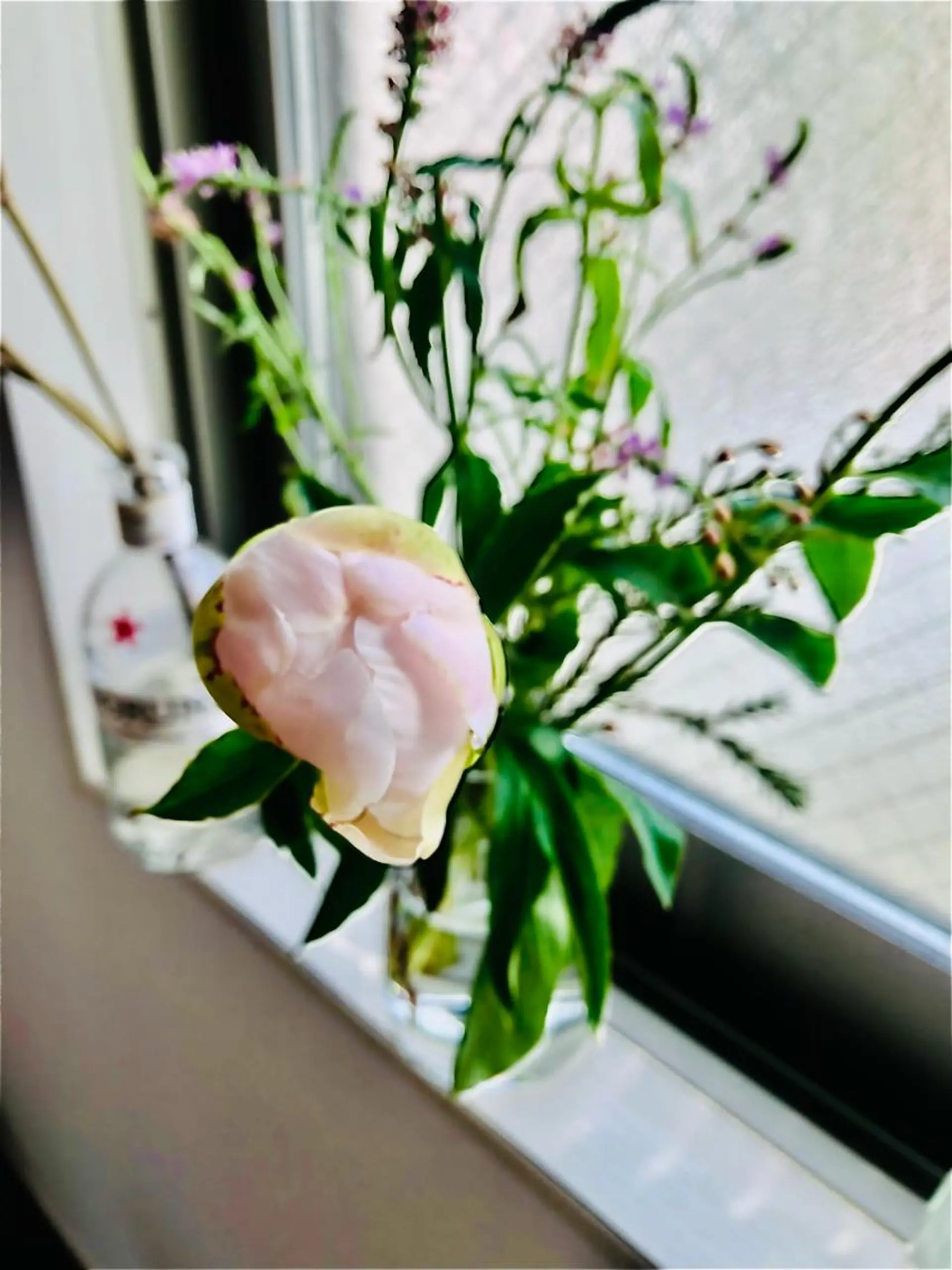 basico  のエステ・リラクイメージ