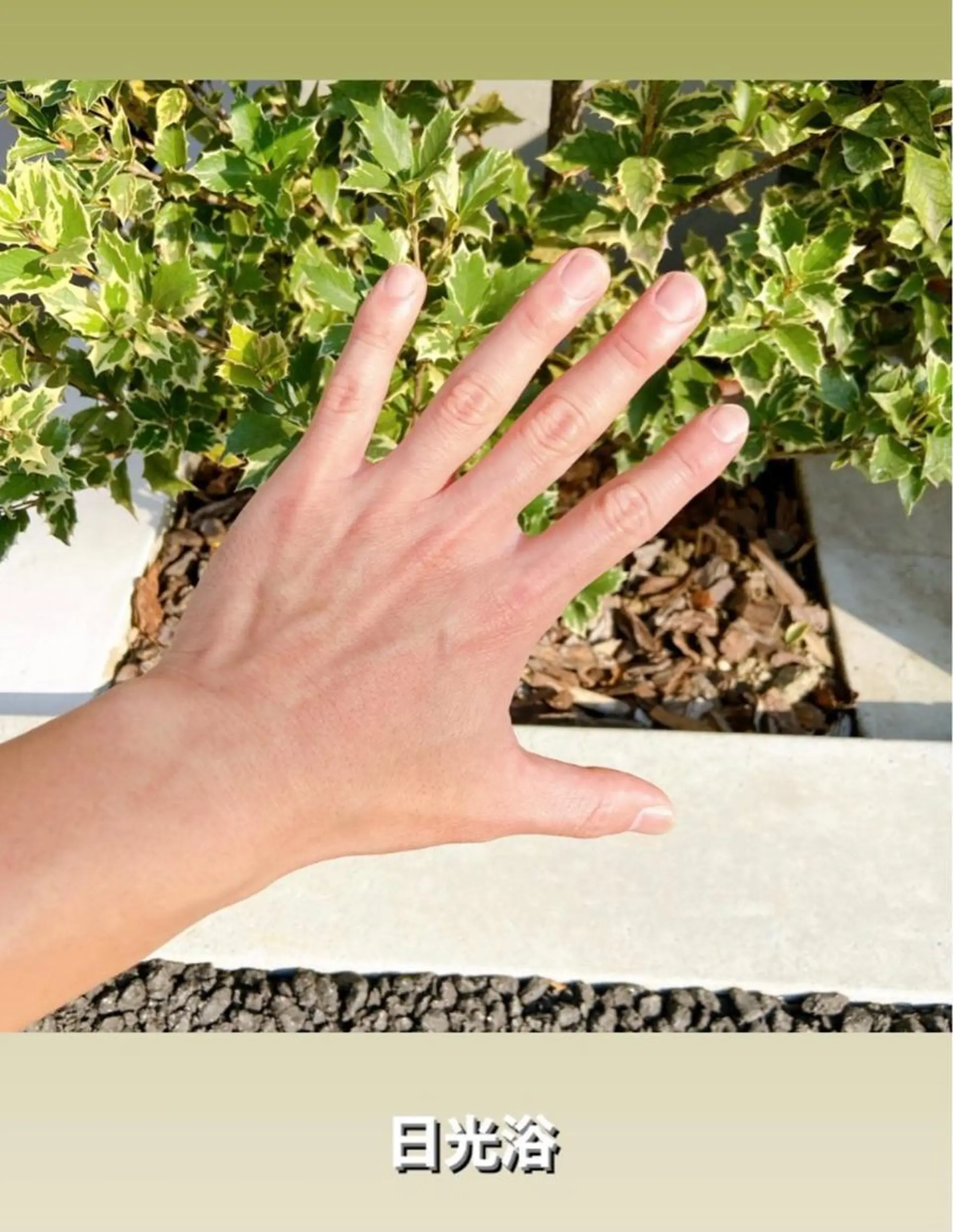 ネイル メンズネイル FERNA フェルナのマツエク・マツパデザイン