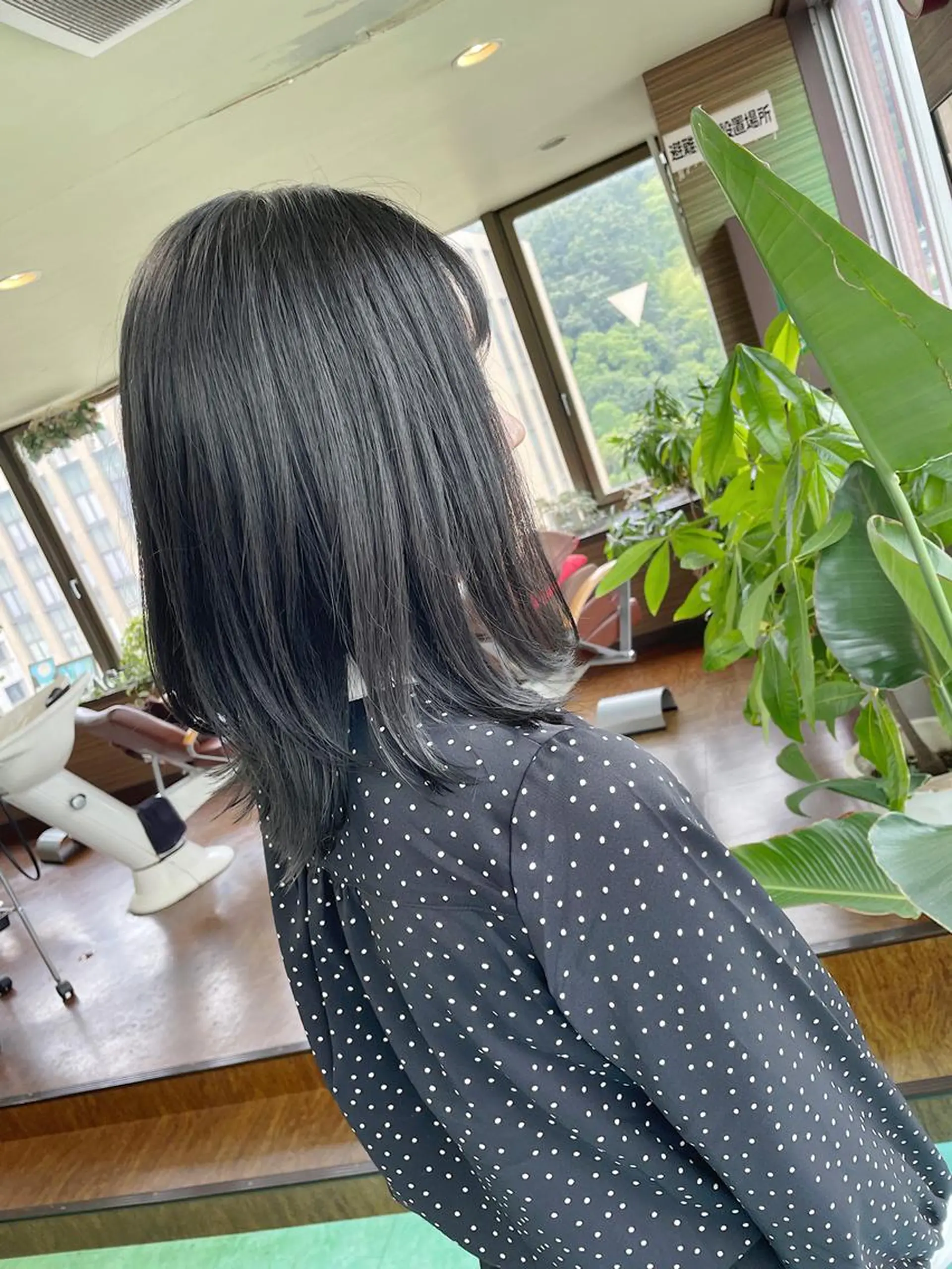 ミディアム カラー アッシュ レイヤーカット 外ハネヘア カット ヘアカラー 土居 正季のヘアスタイル