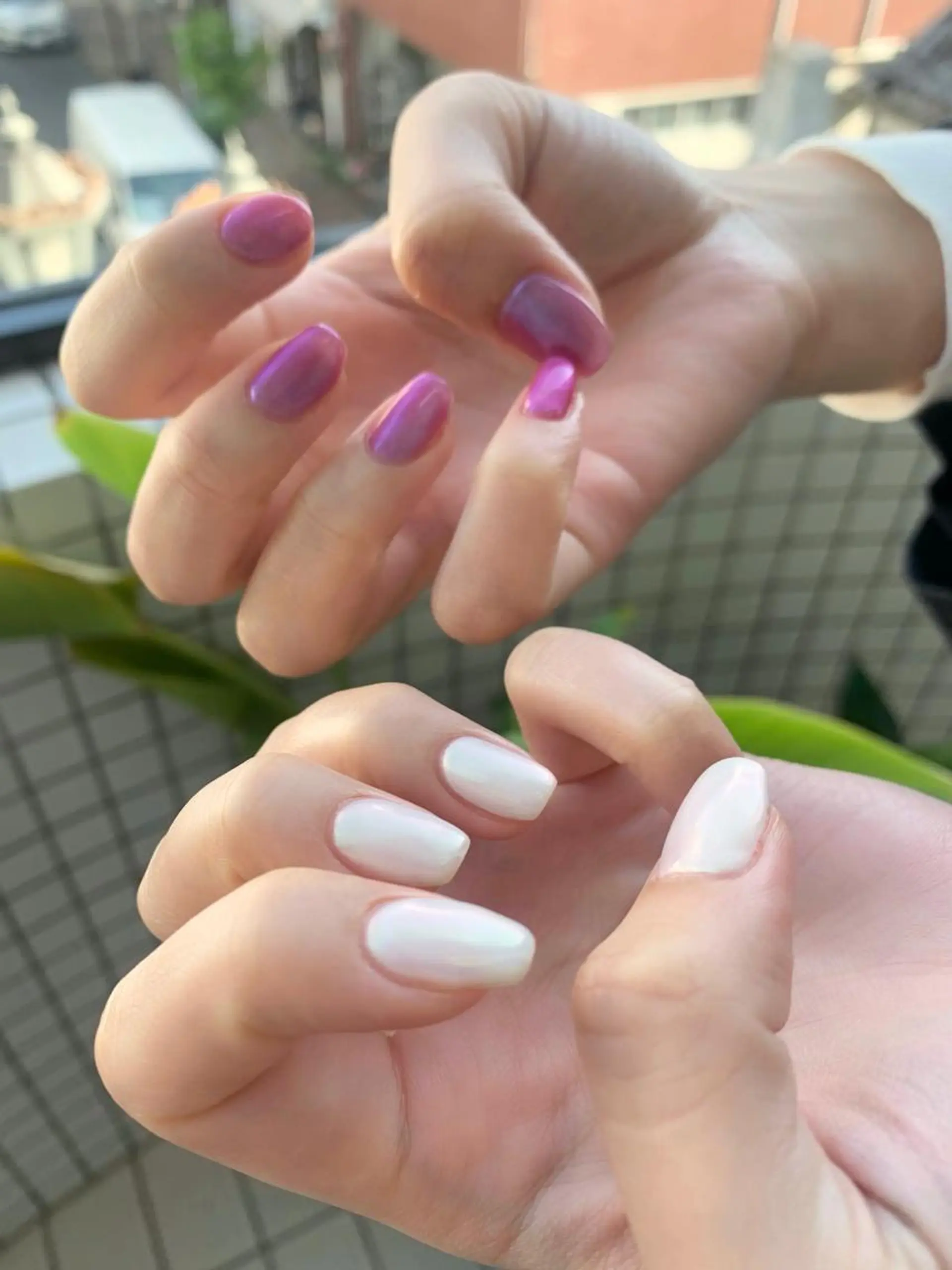 ネイル オーロラネイル ワンカラーネイル シンプルネイル ハンドネイル N.barber / koderaのネイルデザイン