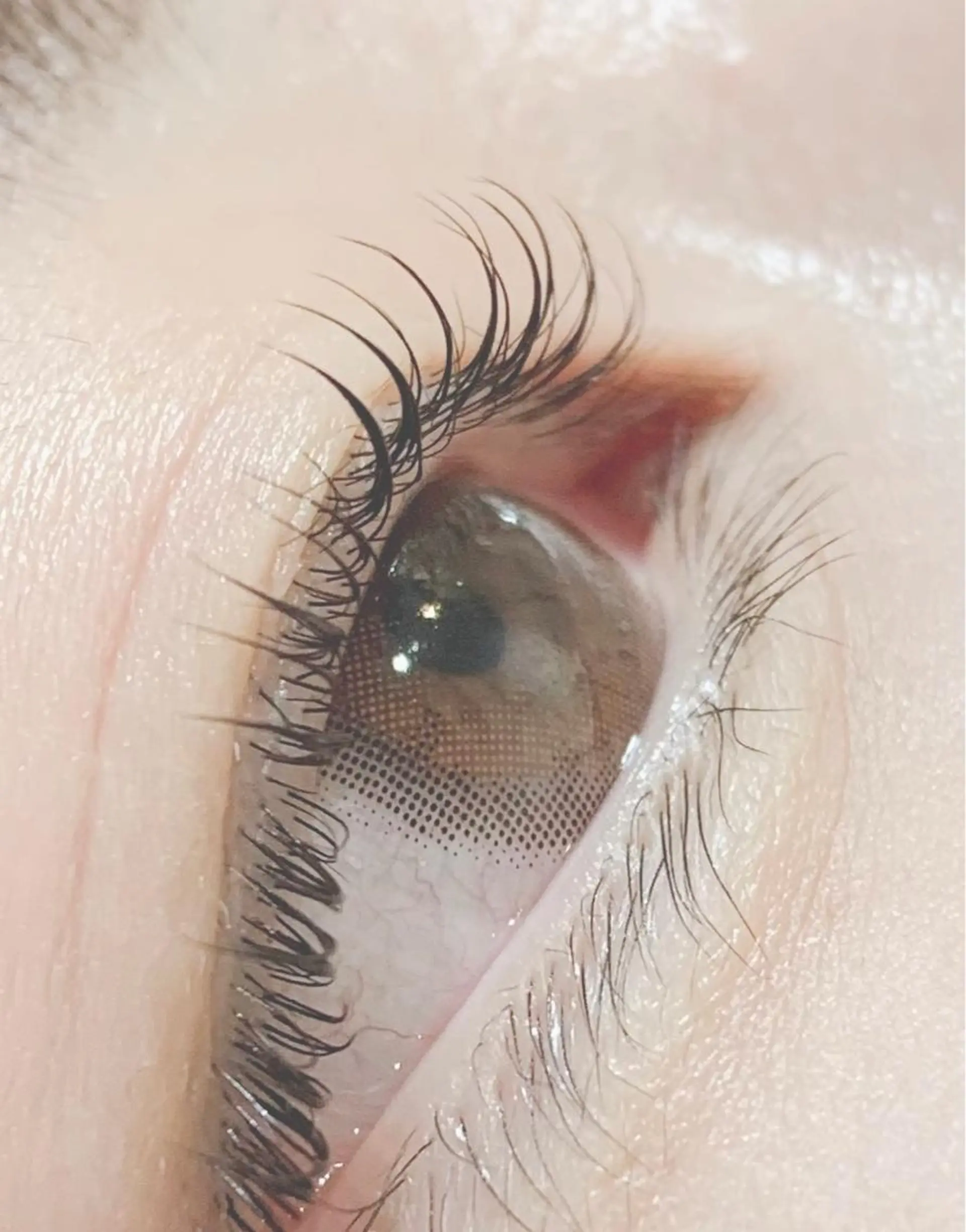 マツエク・マツパ CLOVER一宮店所属・岩佐 朋香のマツエク・マツパデザイン