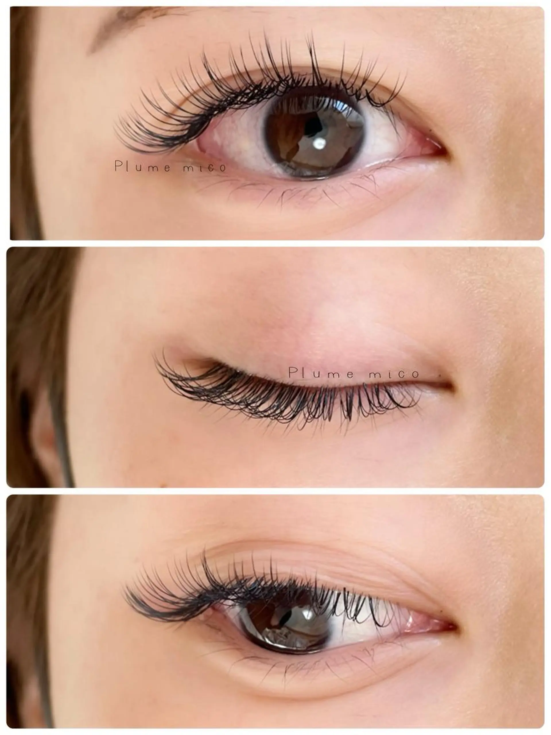 マツエク・マツパ マツエク Plume micoのマツエク・マツパデザイン