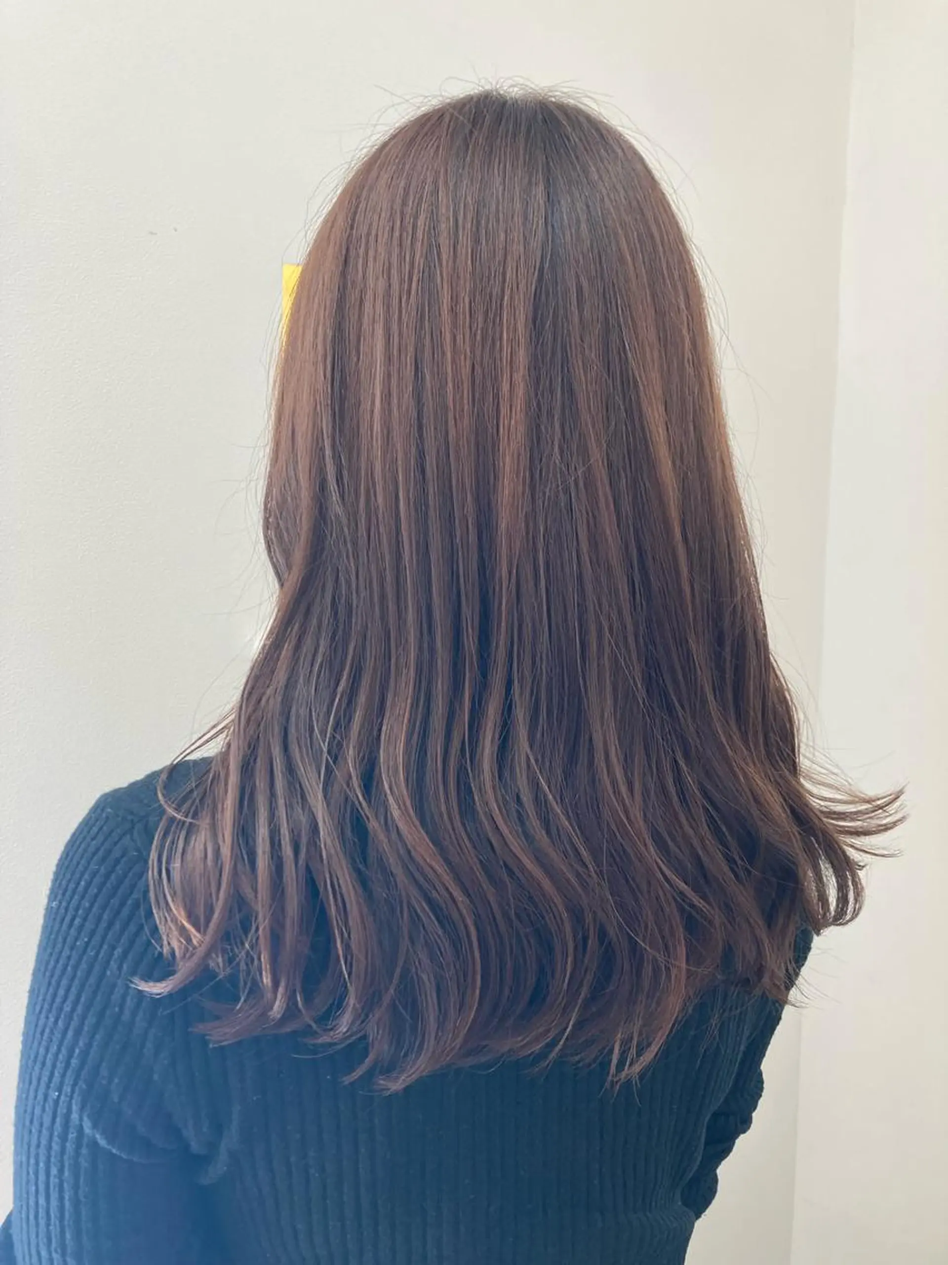 セミロング 新井　翼/銀座 メンズ◎ショート女子のヘアスタイル