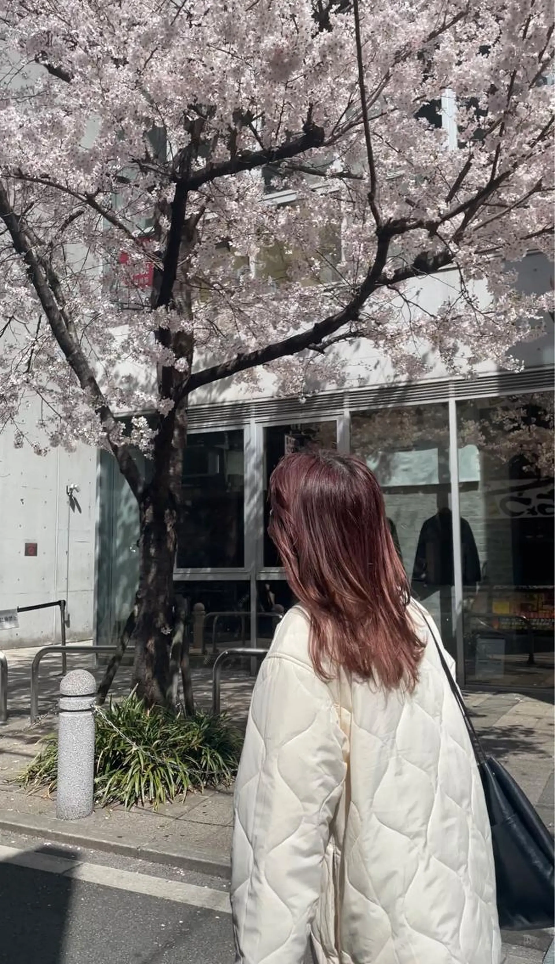 ロング カラー 佐藤 永夏のヘアスタイル