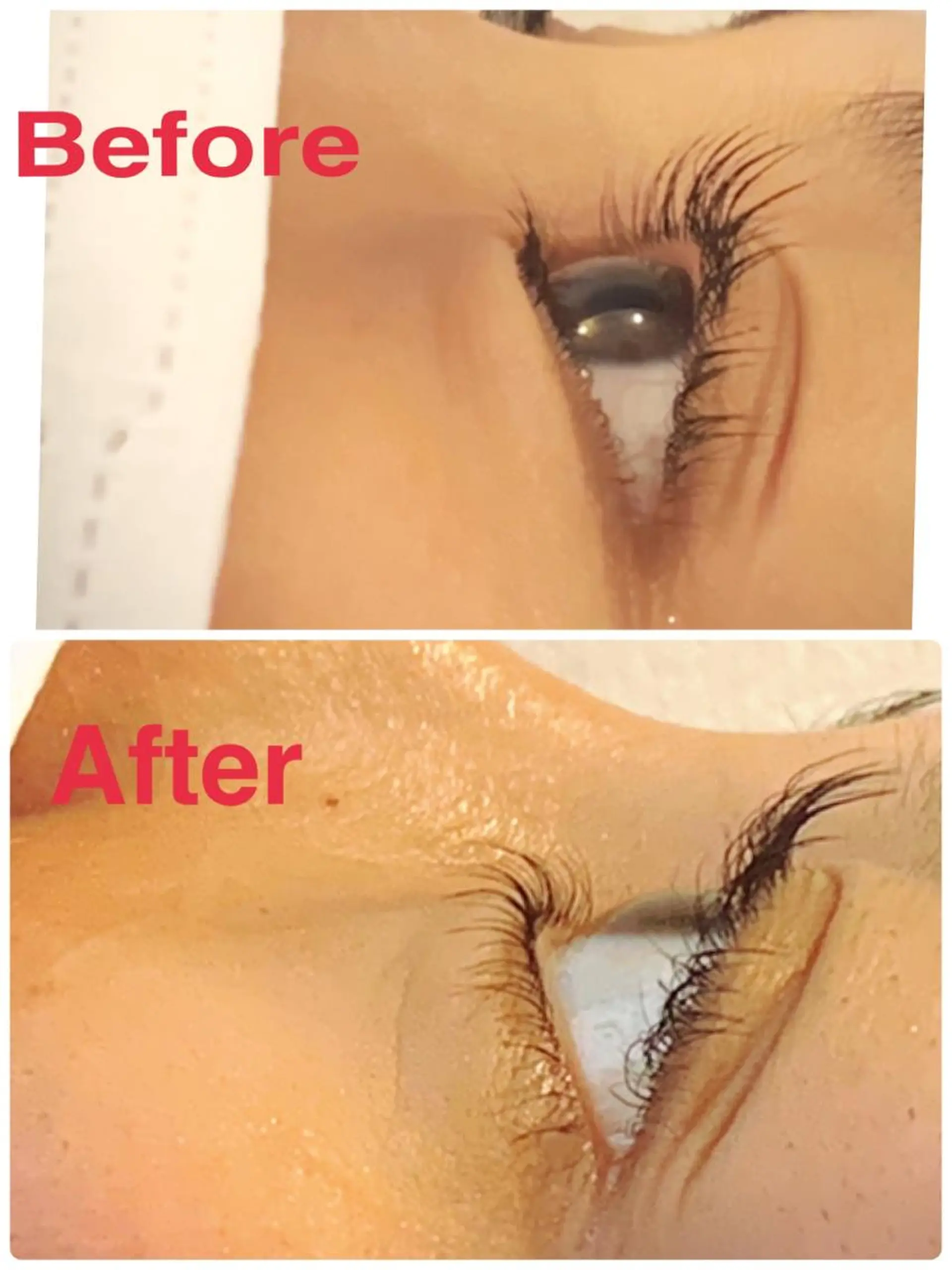 マツエク・マツパ まつげパーマ 下まつげエクステ エクステ/眉/LED peTiT堀口のマツエク・マツパデザイン