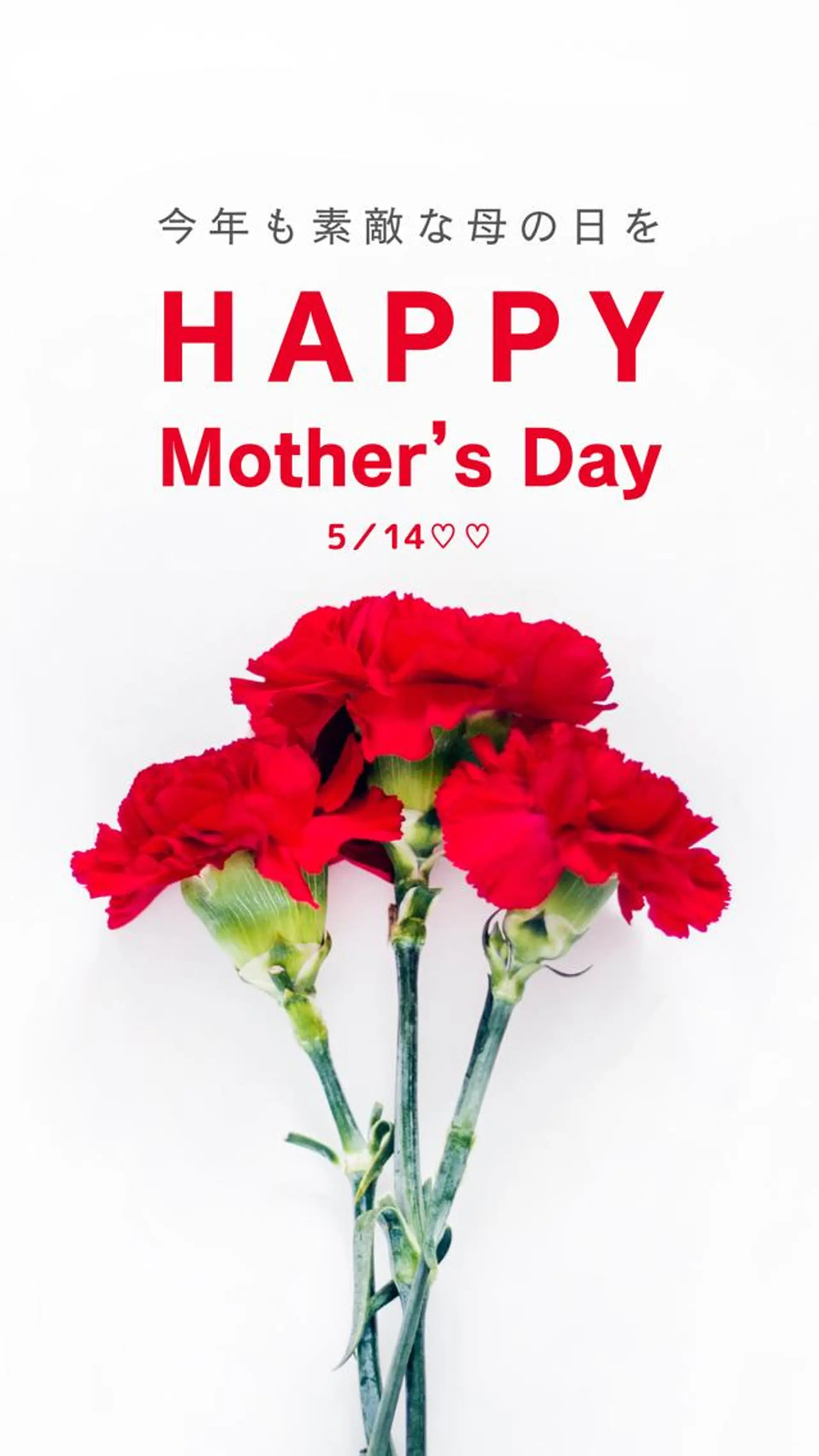 ＲＩＯＮ 〜リオン〜 ／    肌育サロンのエステ・リラクイメージ