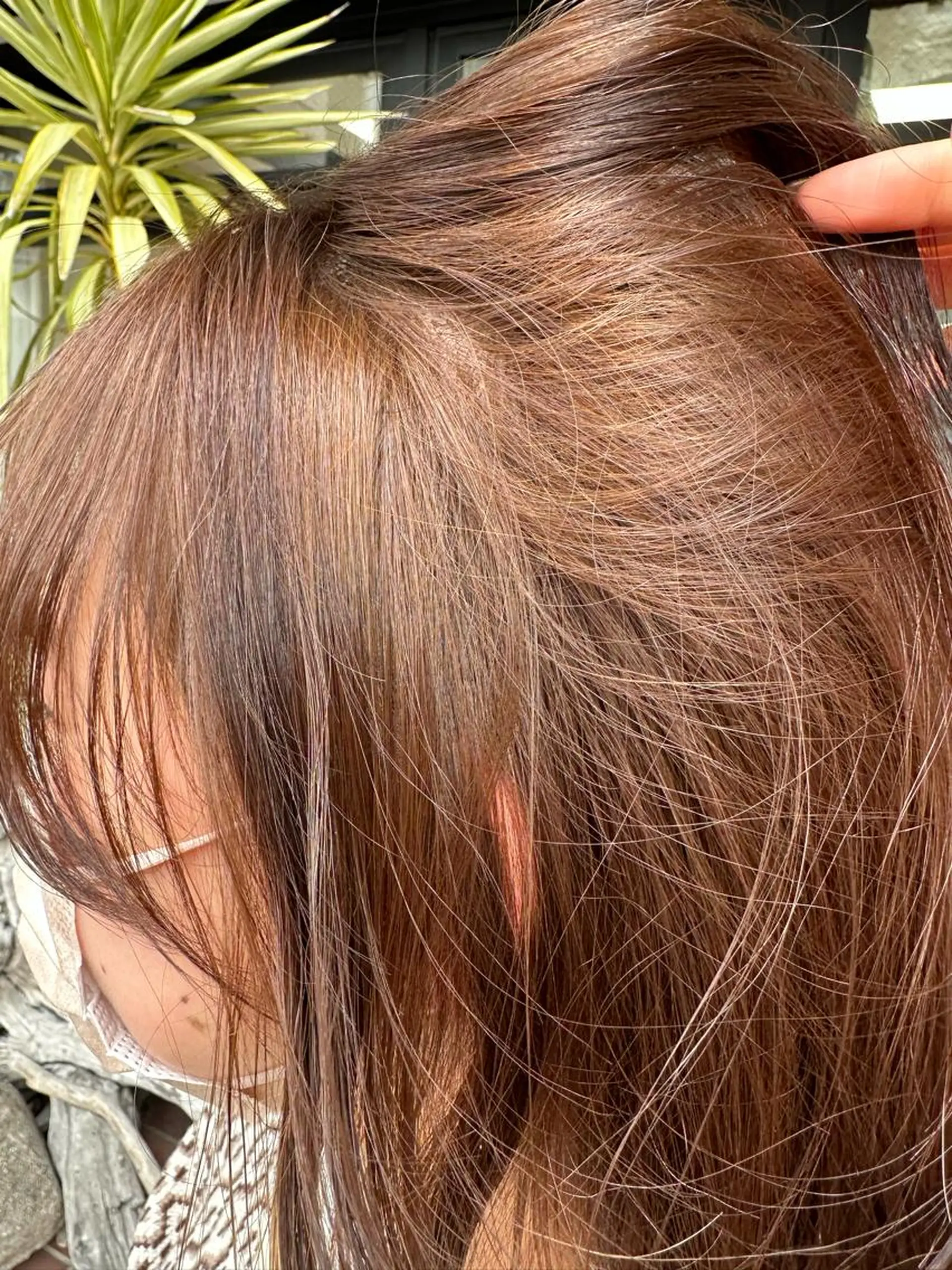 ミディアム ブリーチカラー/ベー ジュ/Hono🦖のヘアスタイル