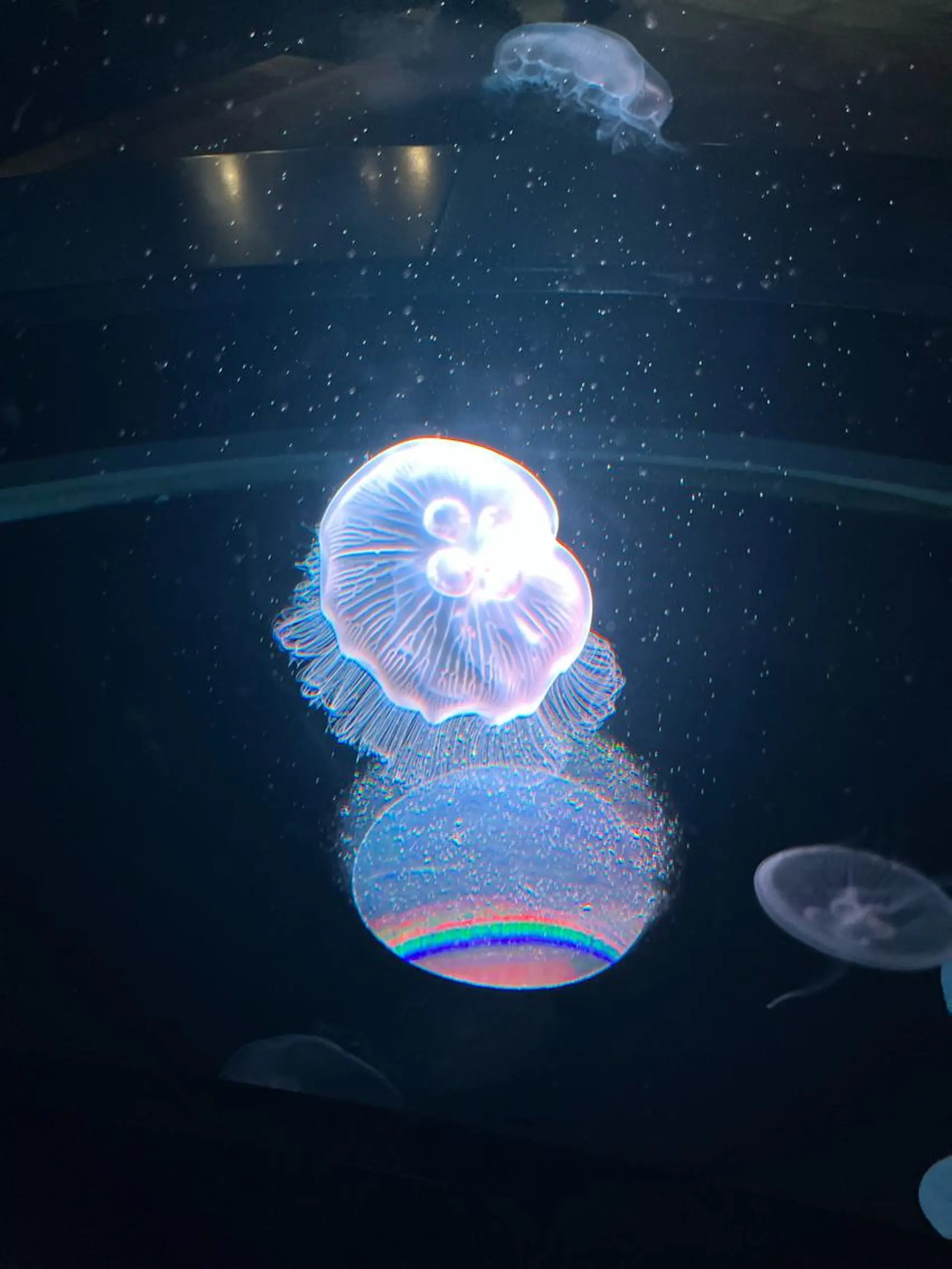 ネイルサロン　リリーブランシュ所属・森 瑞紀のネイルデザイン