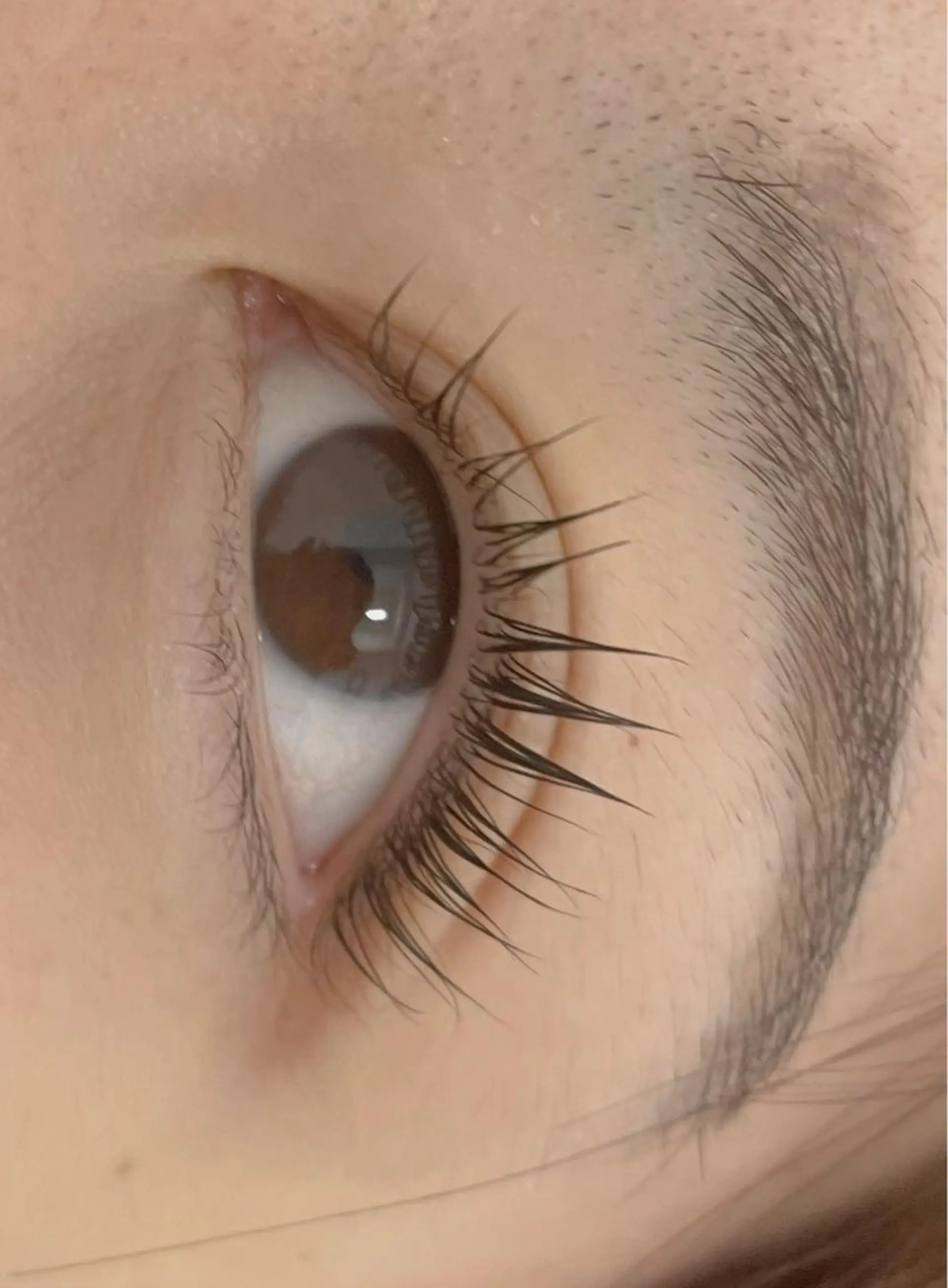 マツエク・マツパ cils·シル アイラッシュのマツエク・マツパデザイン