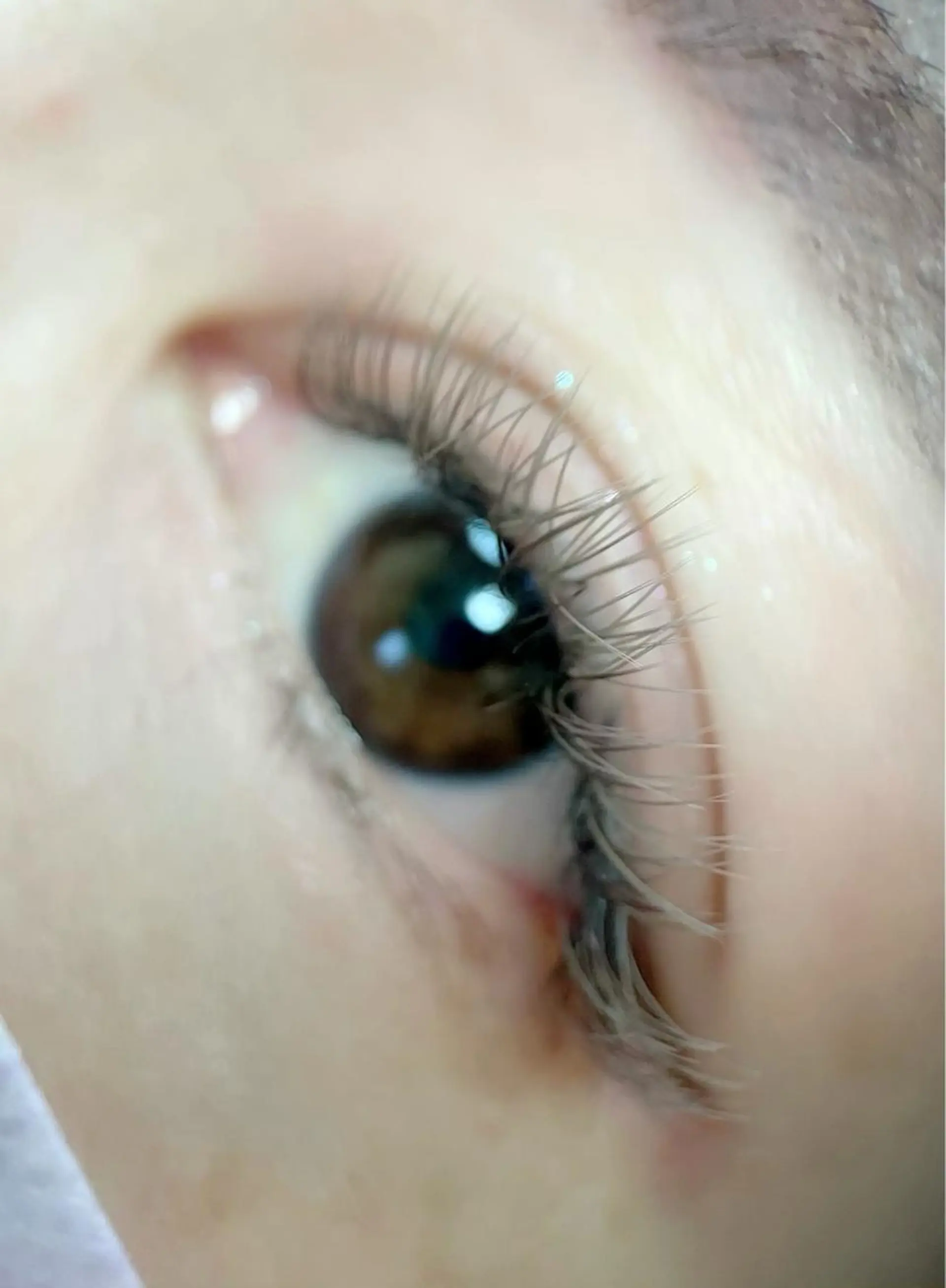 マツエク・マツパ Cカール カラーマツエク フラットラッシュ chuna eyelashのマツエク・マツパデザイン