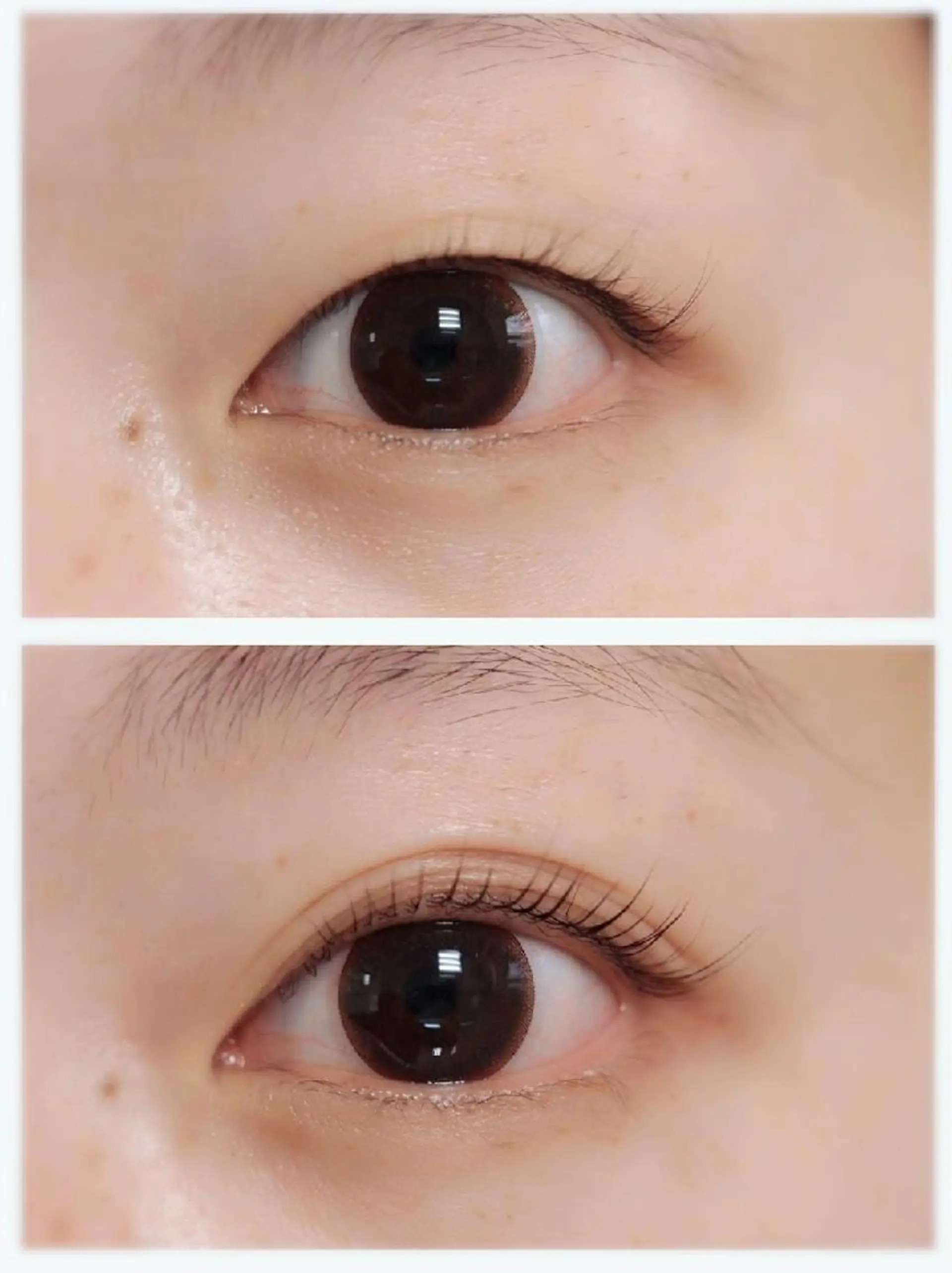 マツエク・マツパ マツパ ビーナスフォート 横川駅前店のマツエク・マツパデザイン