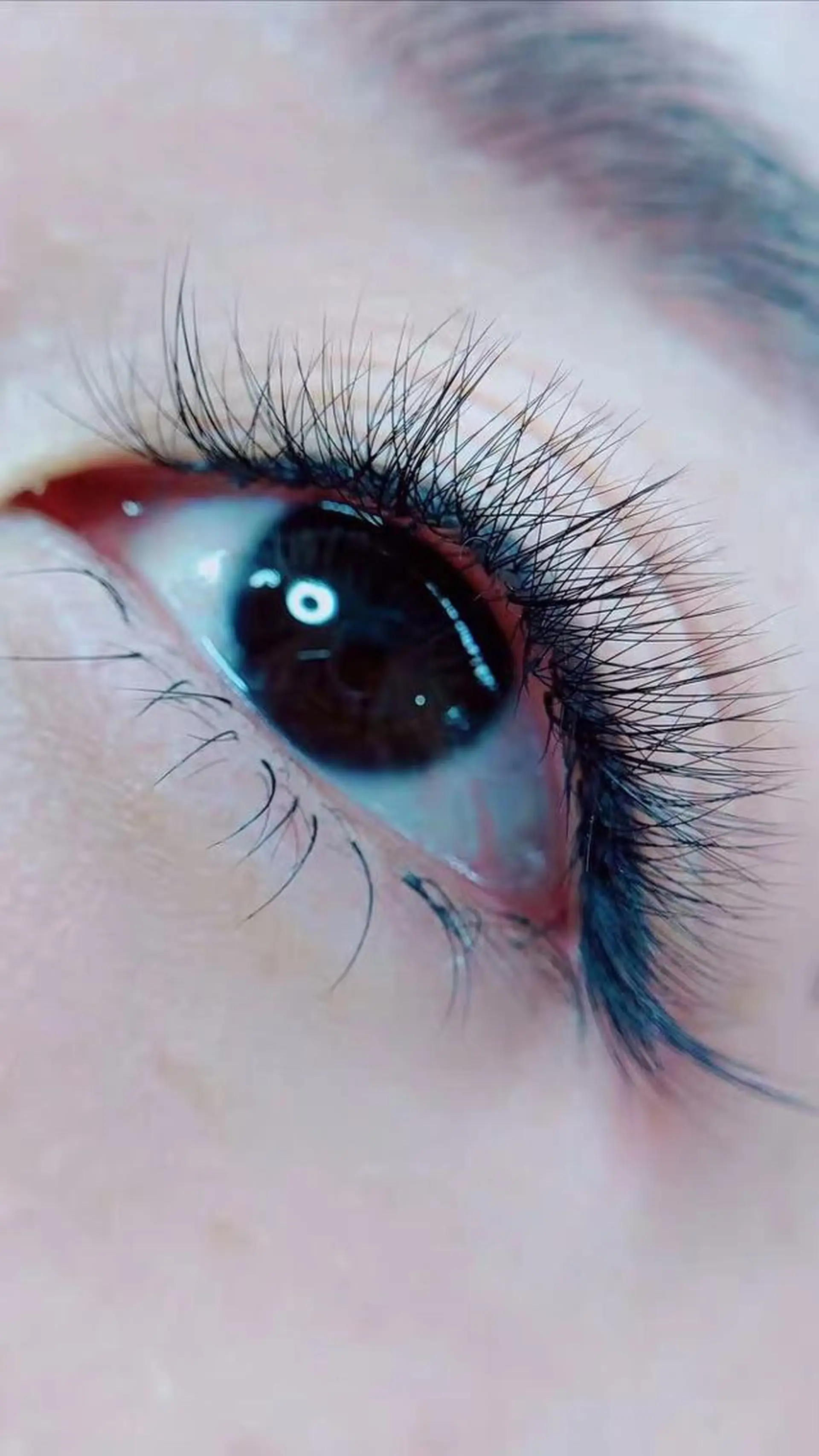 マツエク・マツパ Cute beauty2のマツエク・マツパデザイン