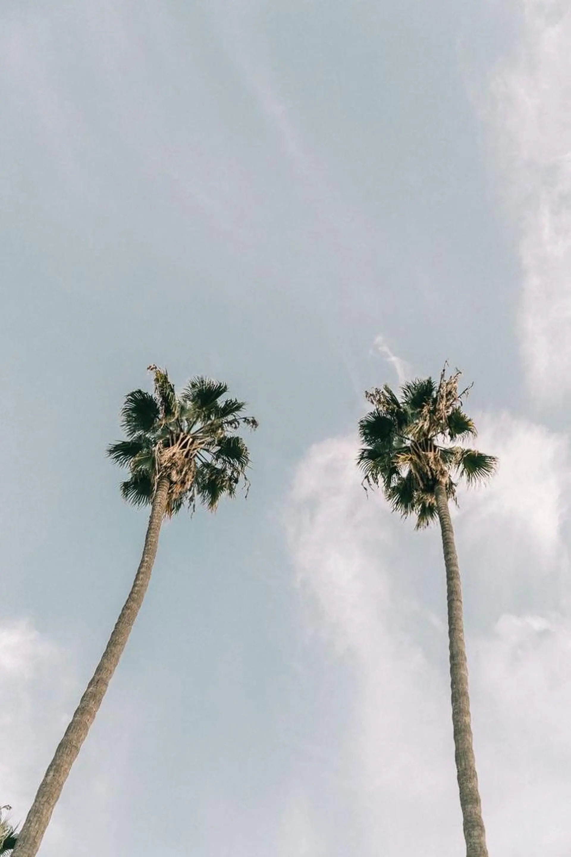 ∴Sanae. ∴ トータルビューティーのネイルデザイン