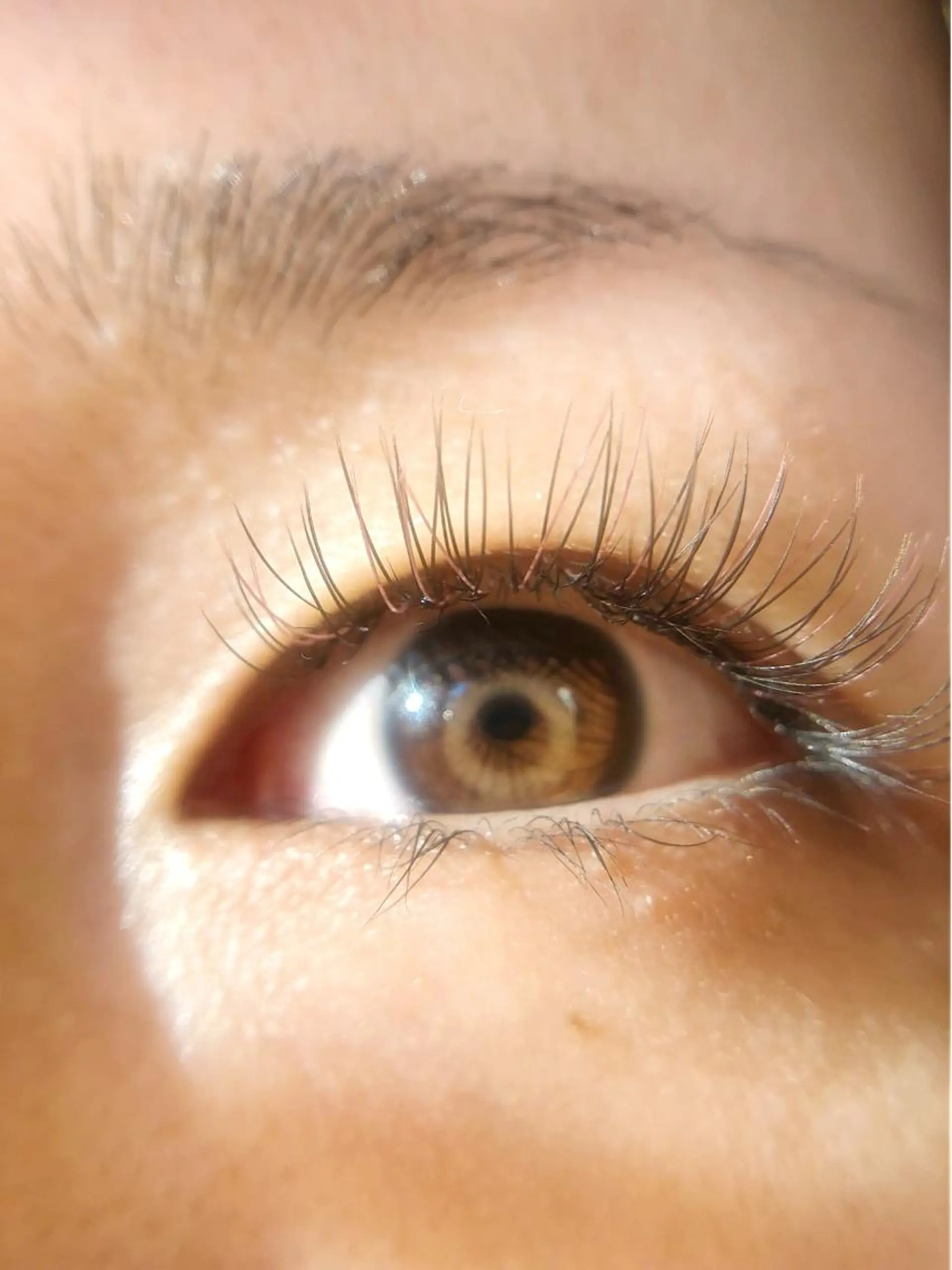 カラー マツエク・マツパ ブラウンカラー ピンクカラー カラーマツエク マツエク K&E lashe /大垣 まつ毛、眉毛のマツエク・マツパデザイン