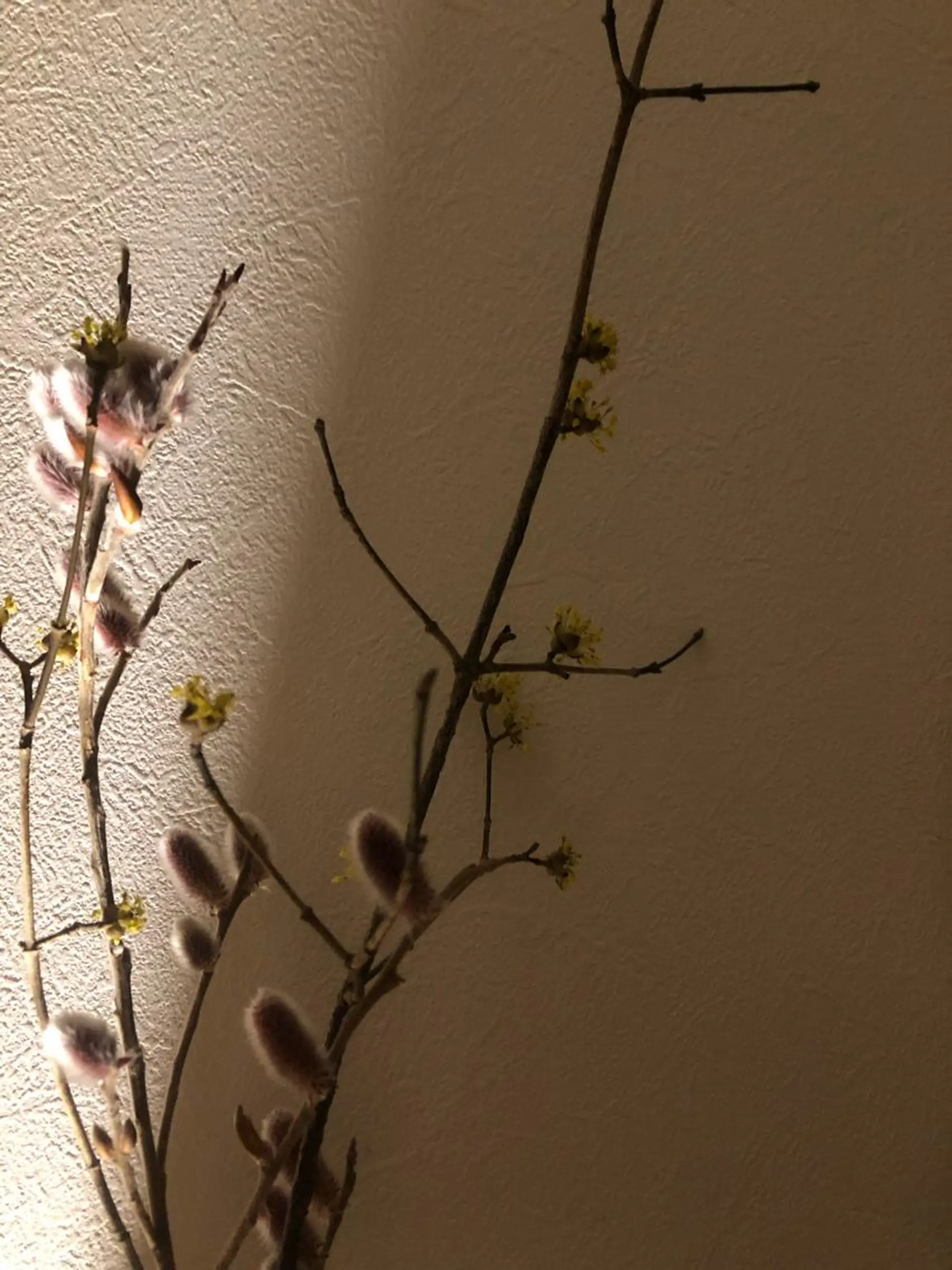 エステ リラク basico  のエステ・リラクイメージ