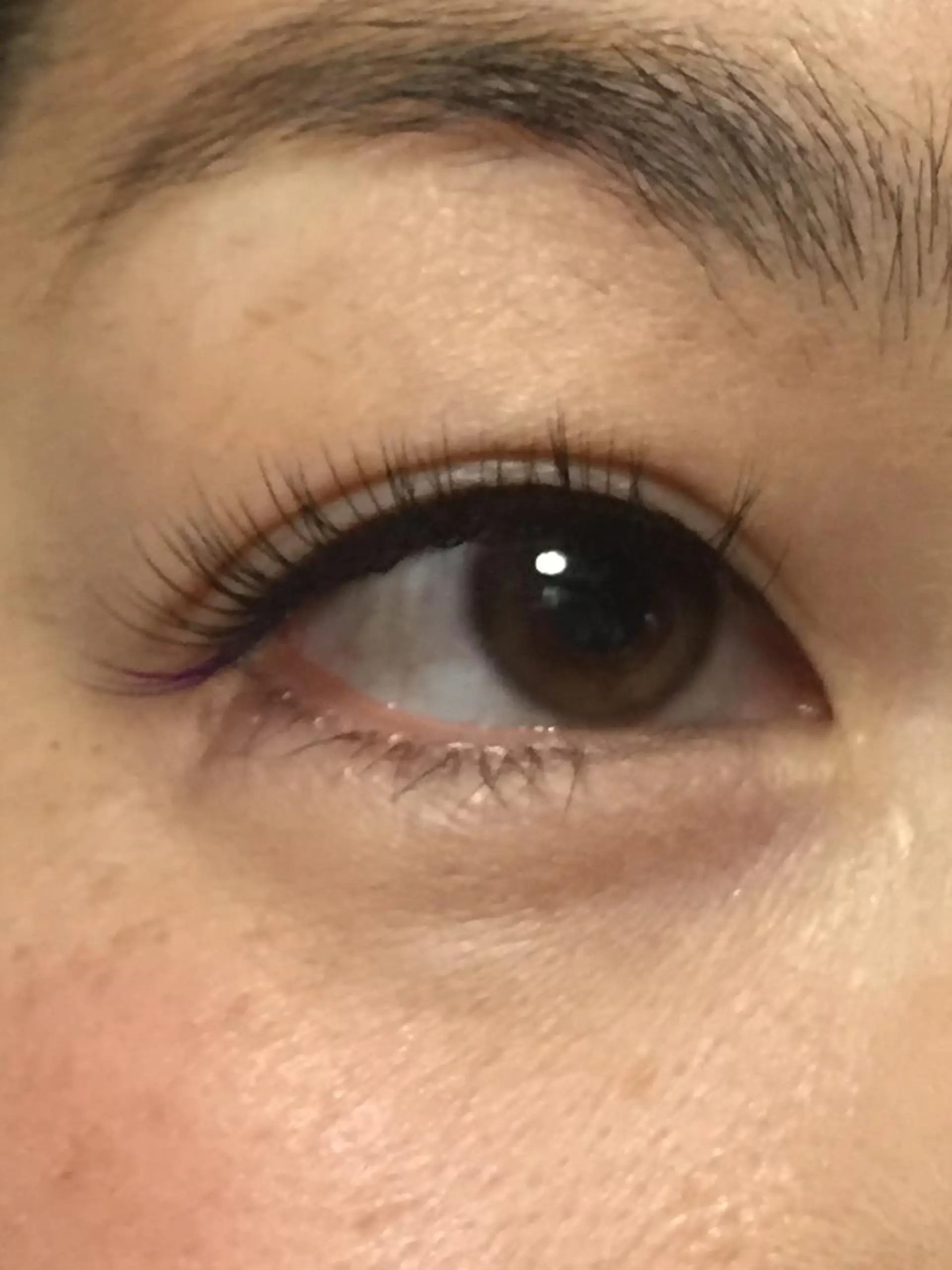 マツエク・マツパ 松本 とものマツエク・マツパデザイン