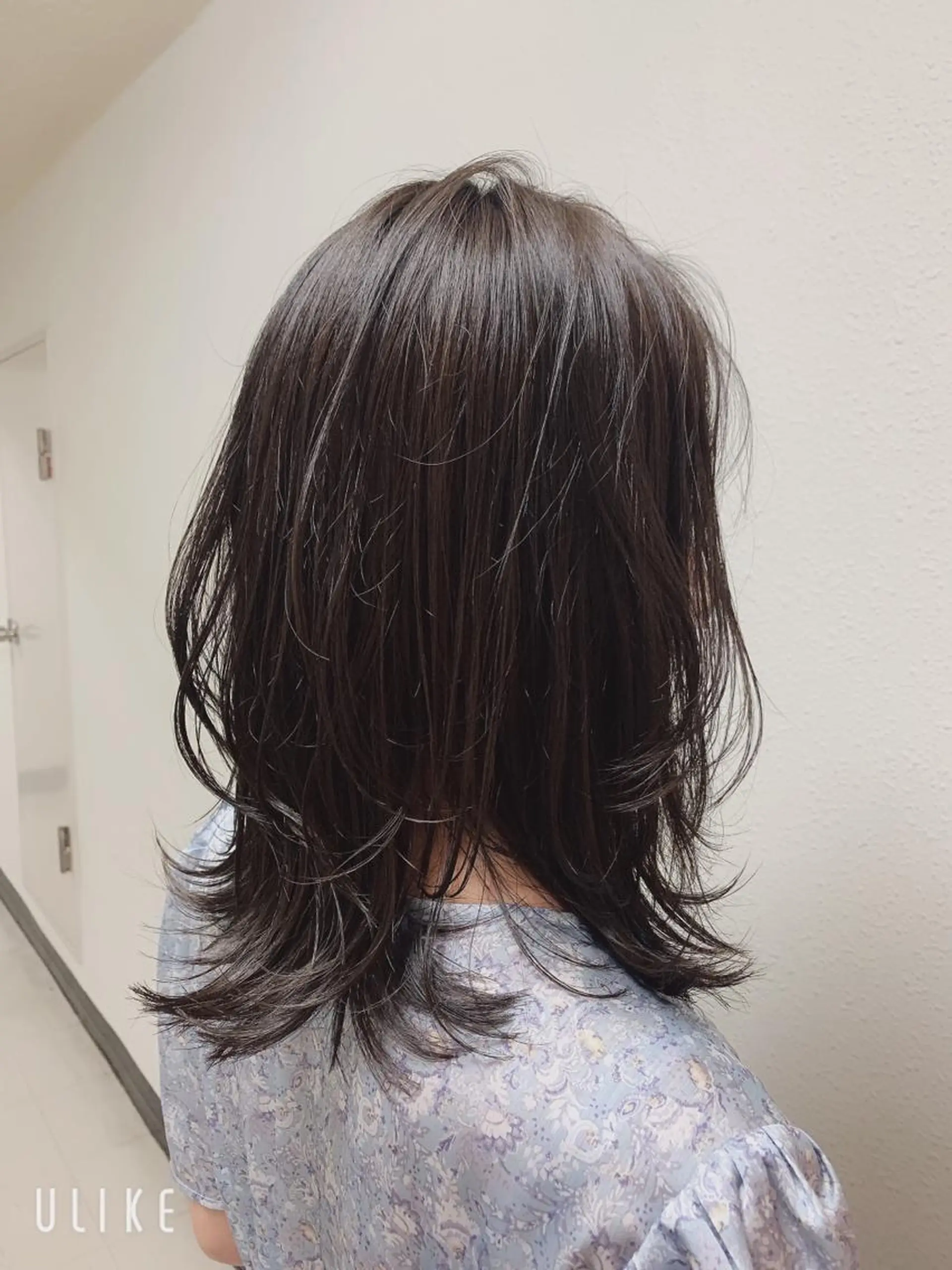 セミロング カラー エンドウ ミノリ🤎 /半個室/レイヤーのヘアスタイル