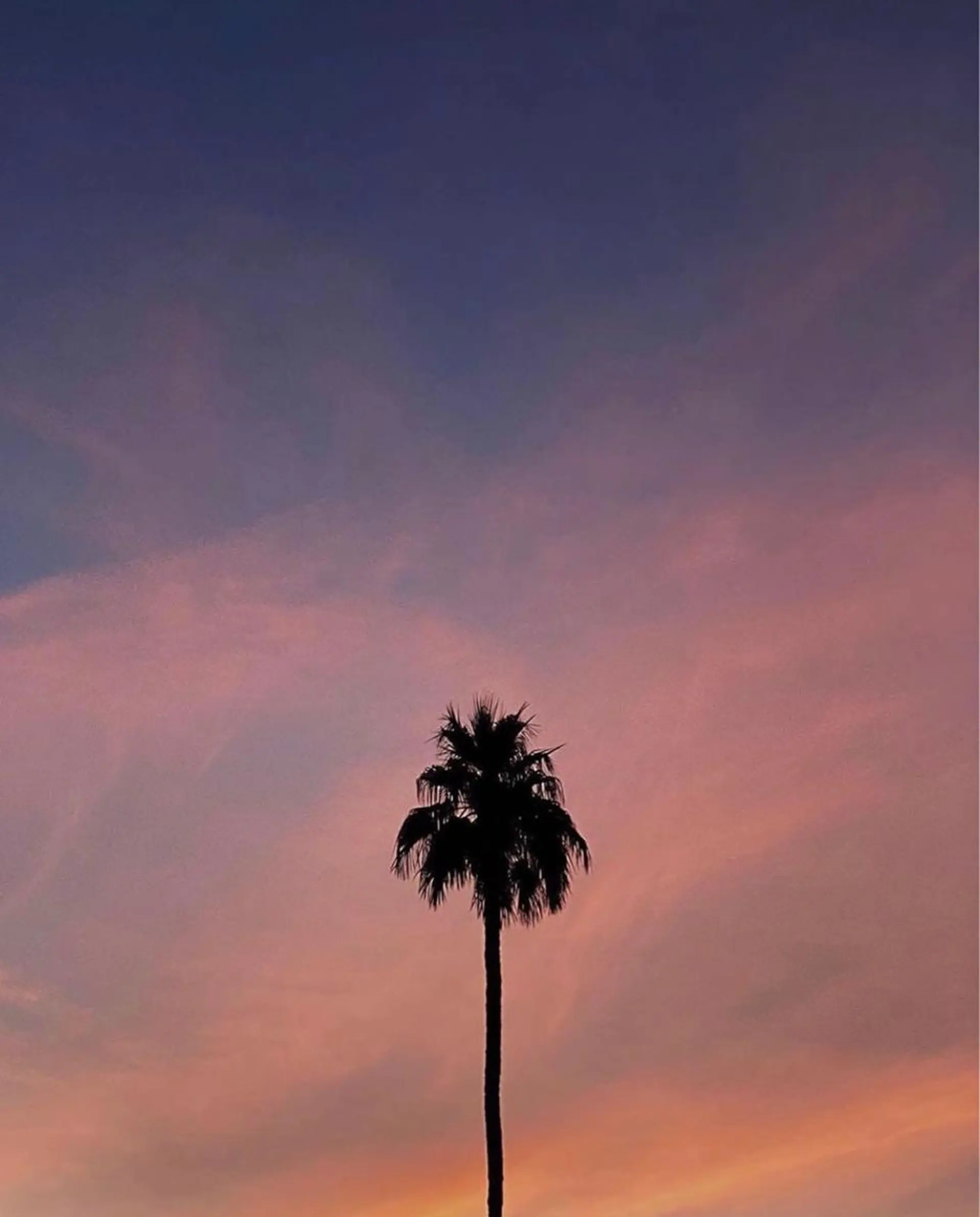 マツエク・マツパ マツエク ✨アイリスト✨ JURIのマツエク・マツパデザイン