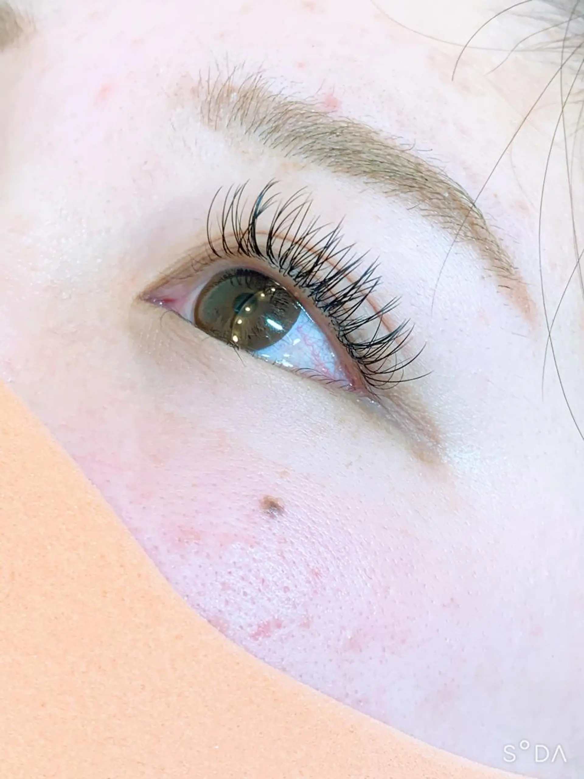 マツエク・マツパ フラットラッシュ エクステ/眉/LED peTiT堀口のマツエク・マツパデザイン