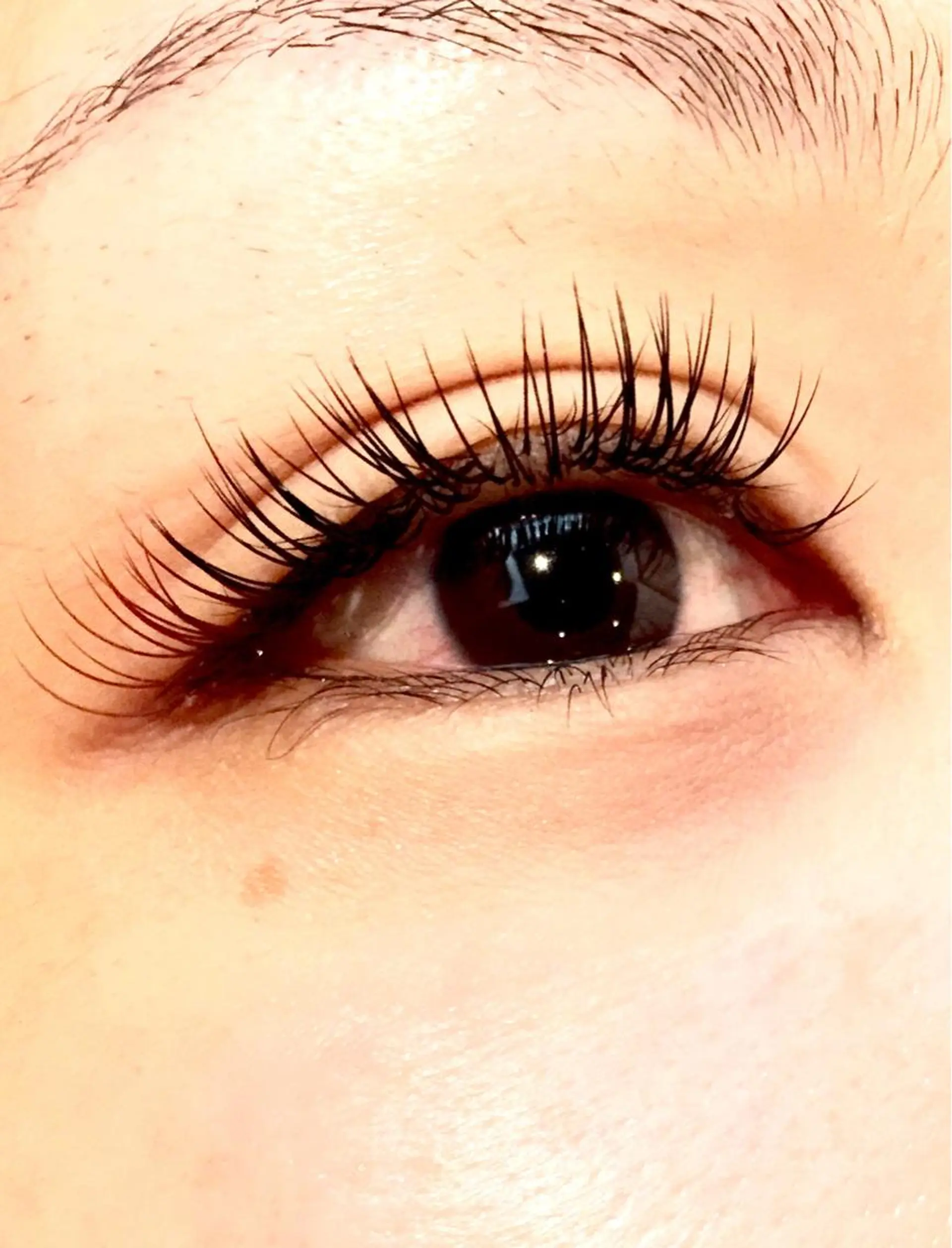 マツエク・マツパ Cカール カラーマツエク セクシー GRACE所属・磯見 歩未のマツエク・マツパデザイン