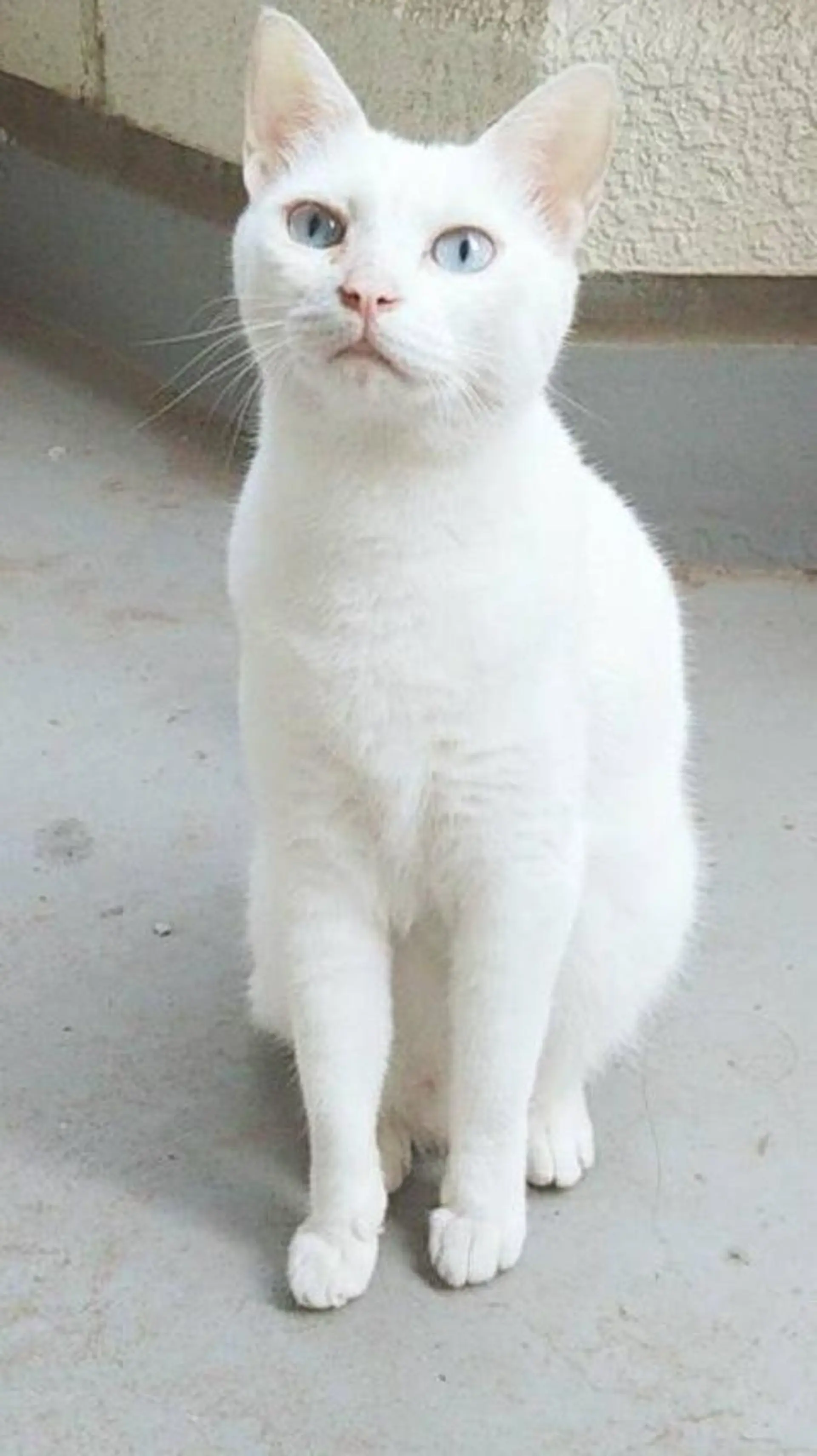 g*rossa高橋 くみこのエステ・リラクイメージ