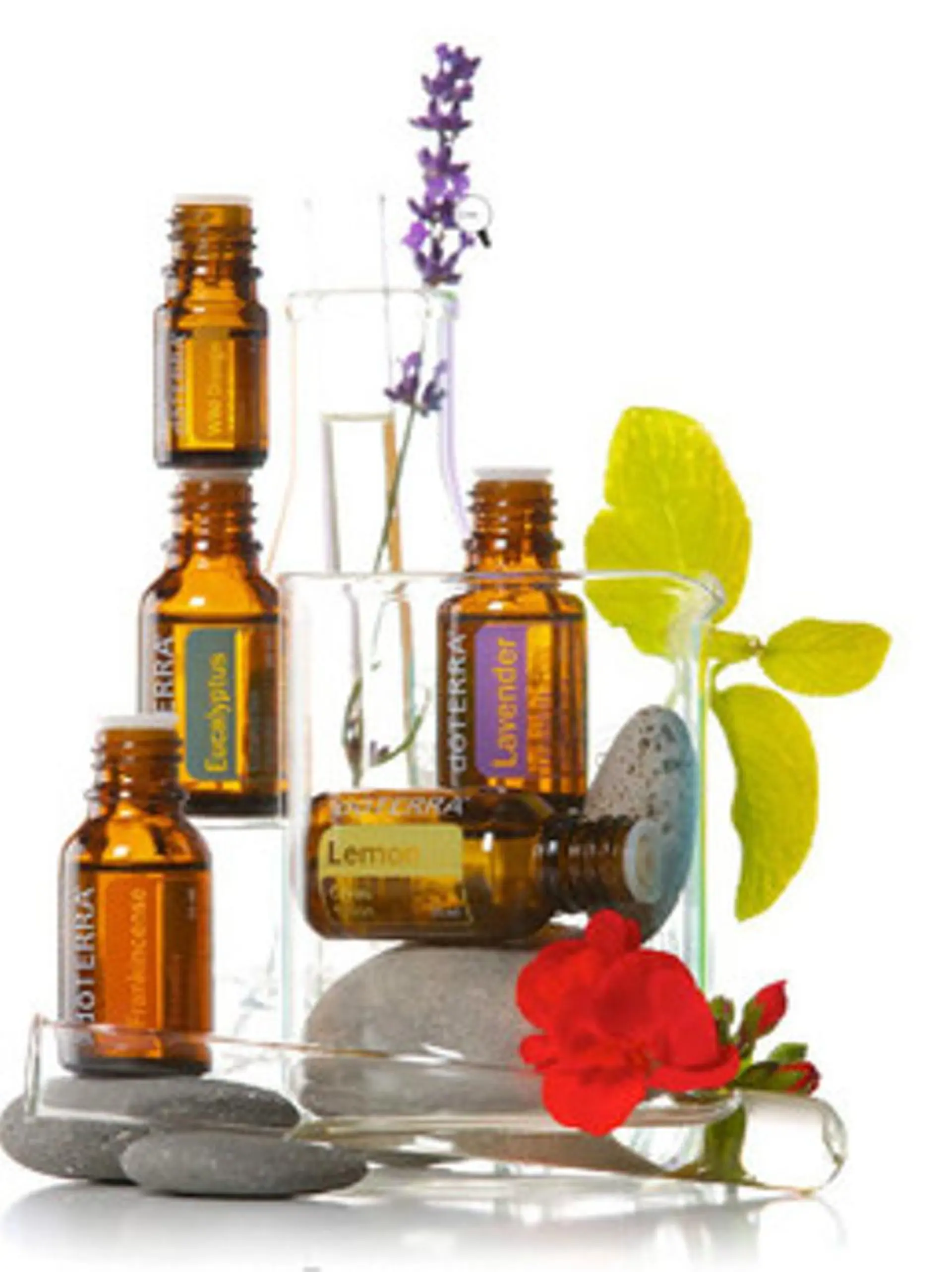 脱毛＆肌質改善サロン shandeelのエステ・リラクイメージ