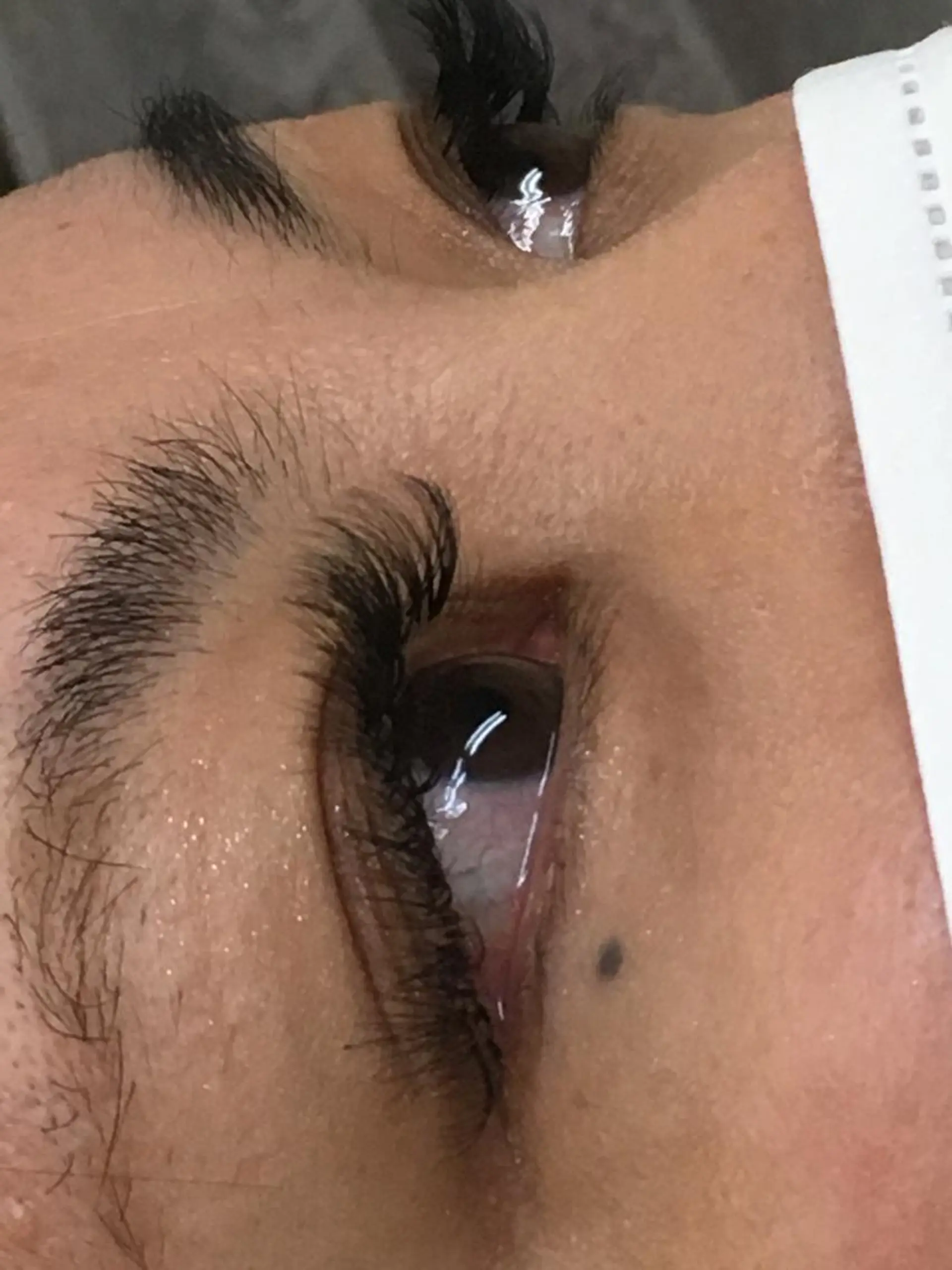 マツエク・マツパ ボリュームラッシュ さろんどふじた甲子園所属・江嵜 真由美　　　　甲子園のマツエク・マツパデザイン