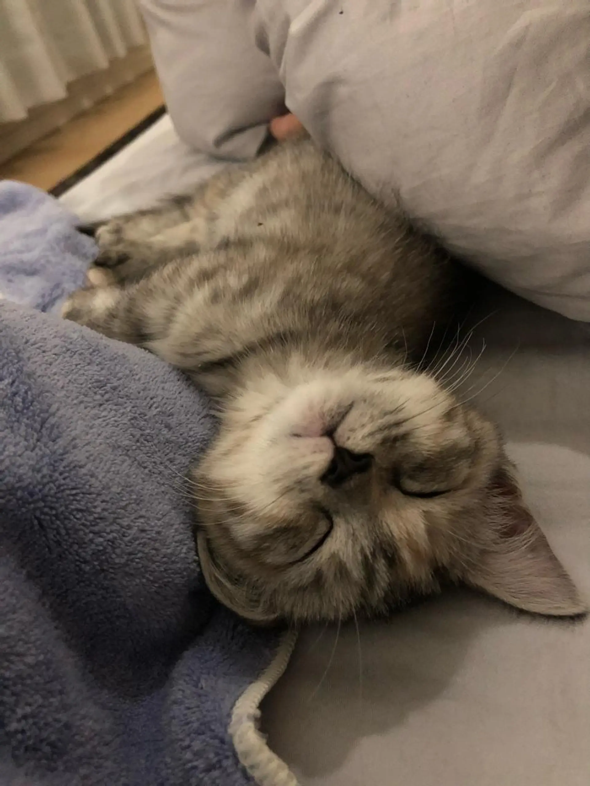 K-atelierCACHETTE所属・小林 まさきのヘアスタイル