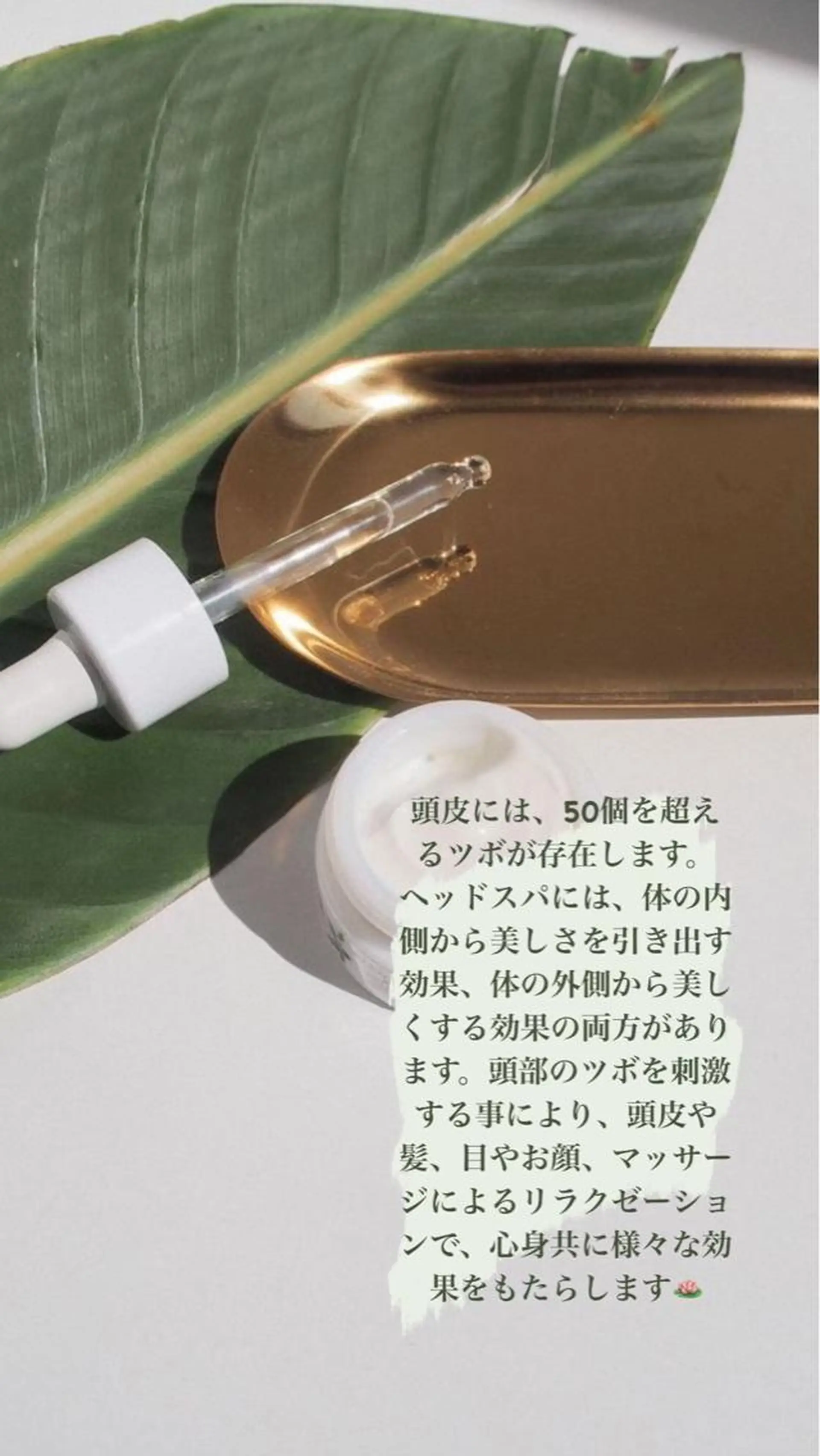 cocoluana(ココルアナ)所属・韓国風ヘア専門 🇰🇷Noaのヘアスタイル