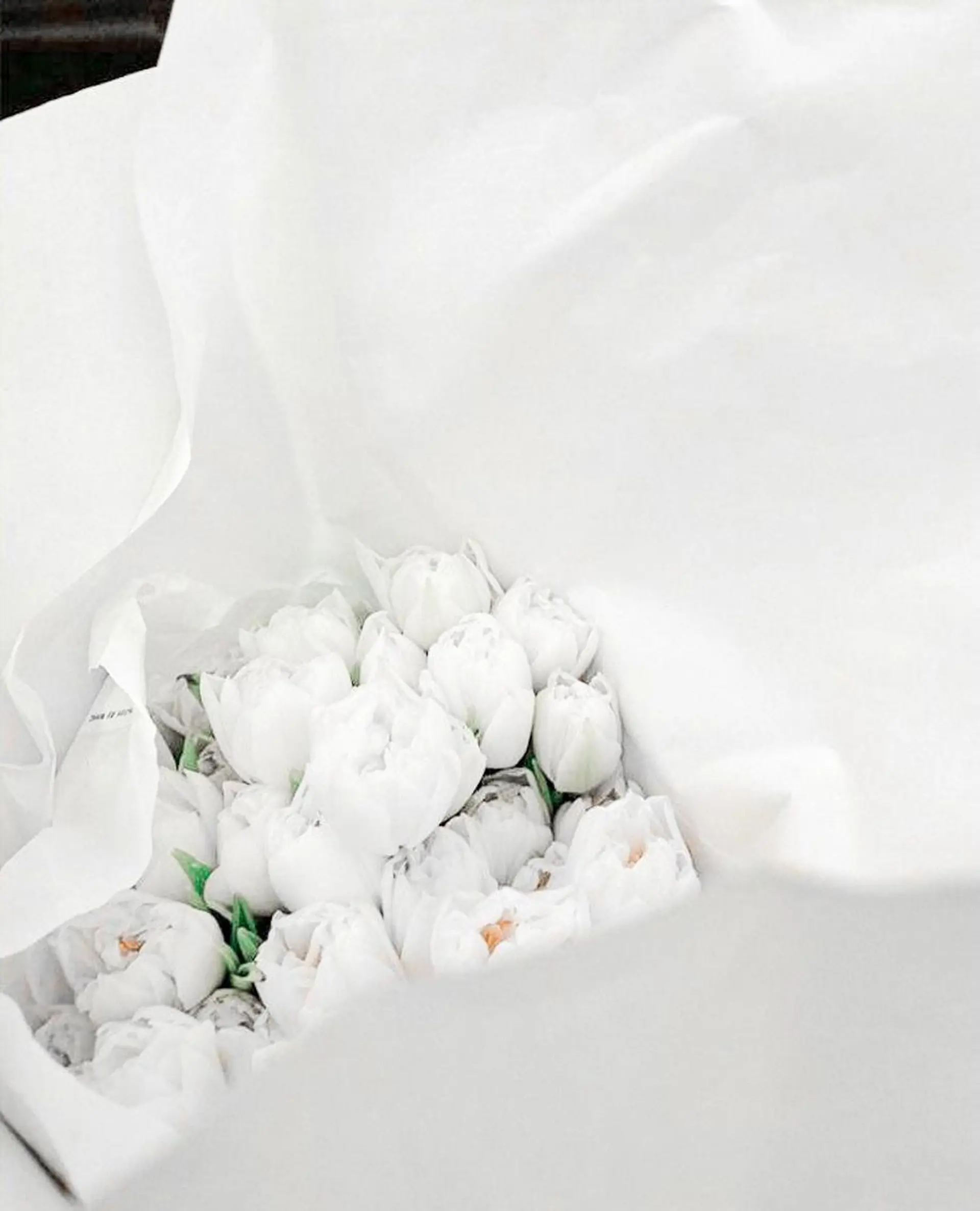 メンズ マツエク・マツパ アイブロウ Lash&brow PORTE269布施店所属・brace 竹田愛海のエステ・リラクイメージ