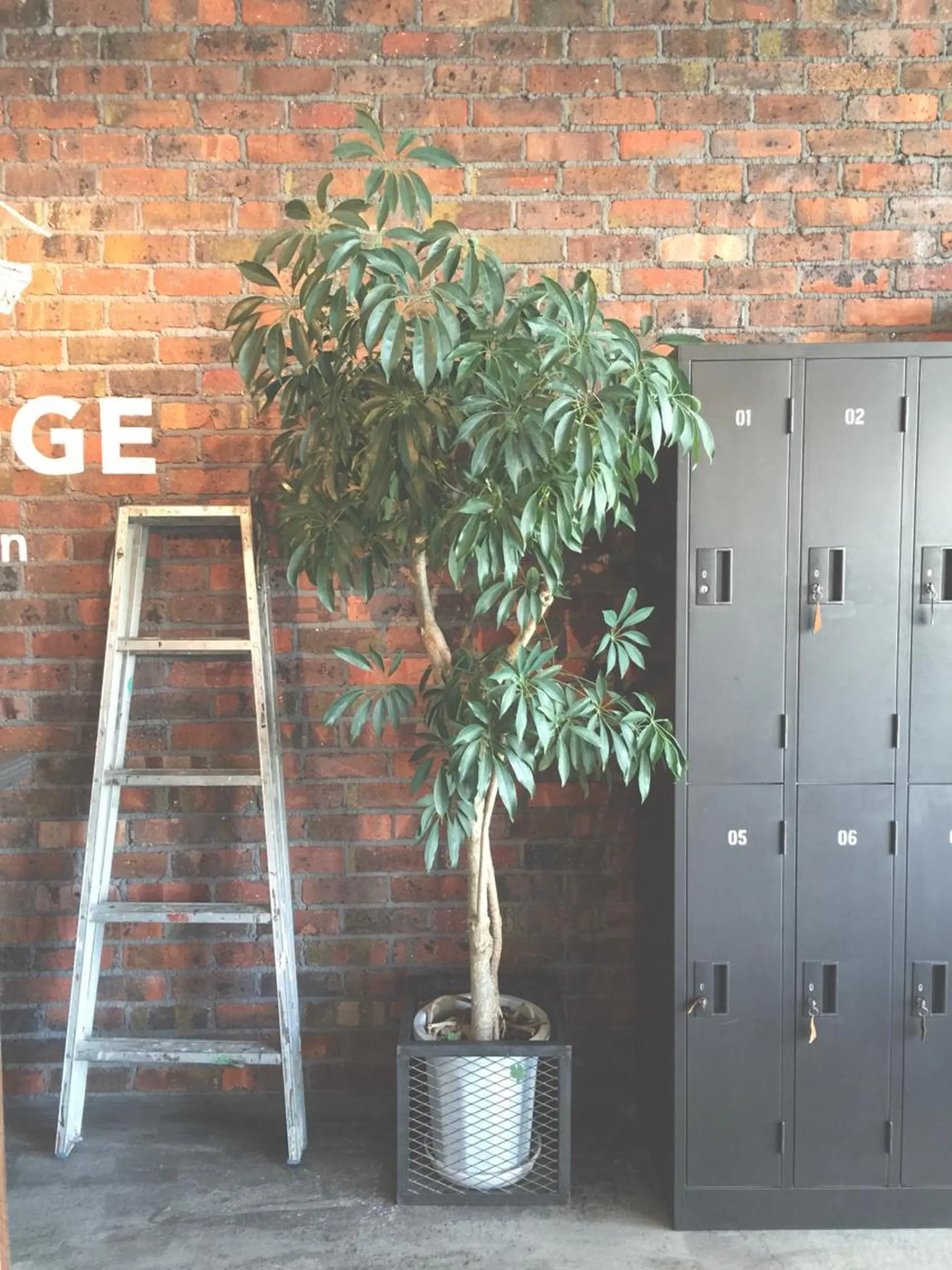 the BRIDGE hair salonのヘアスタイル