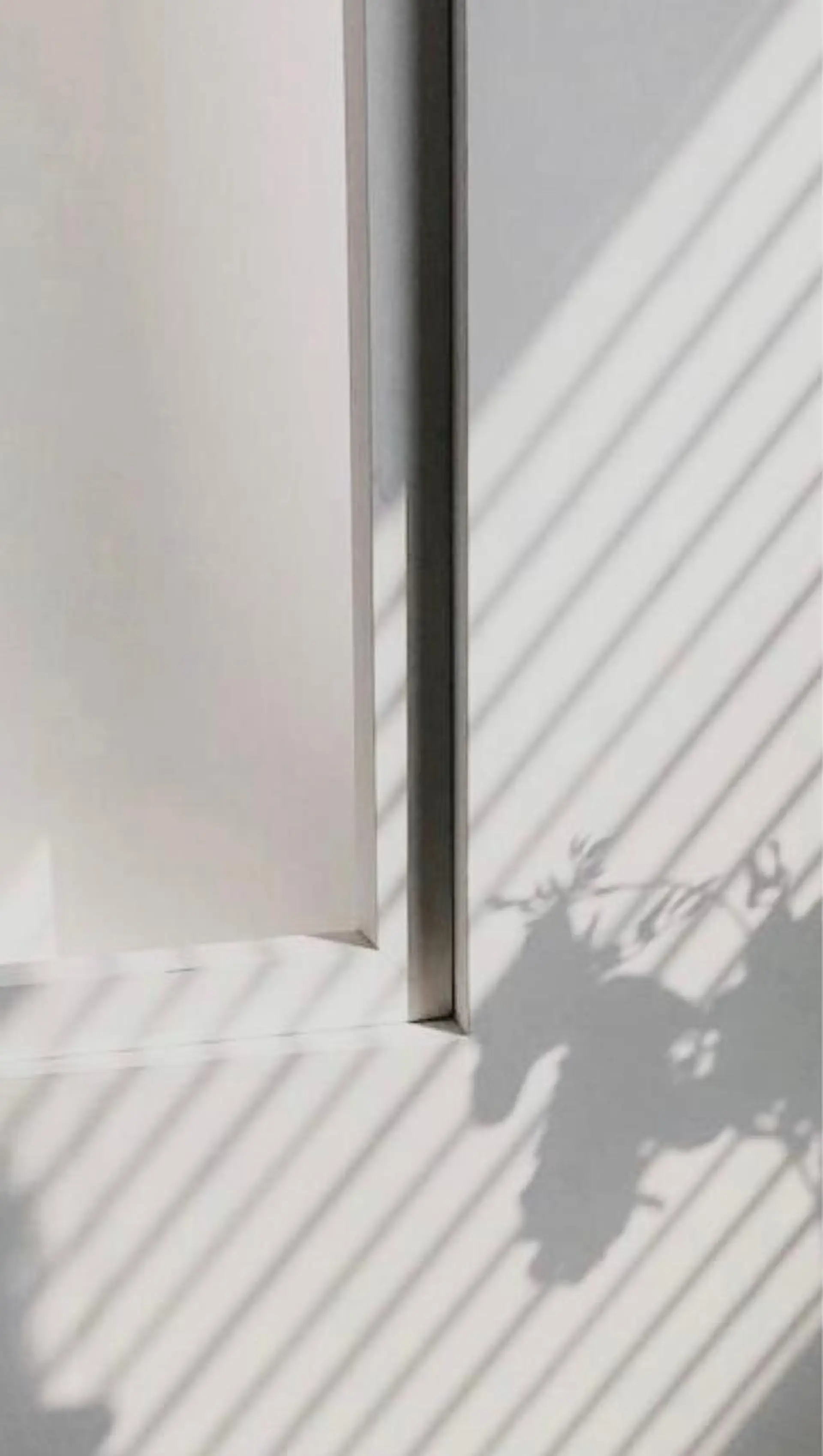 THE DAY所属・AKI HASHIMOTOのヘアスタイル