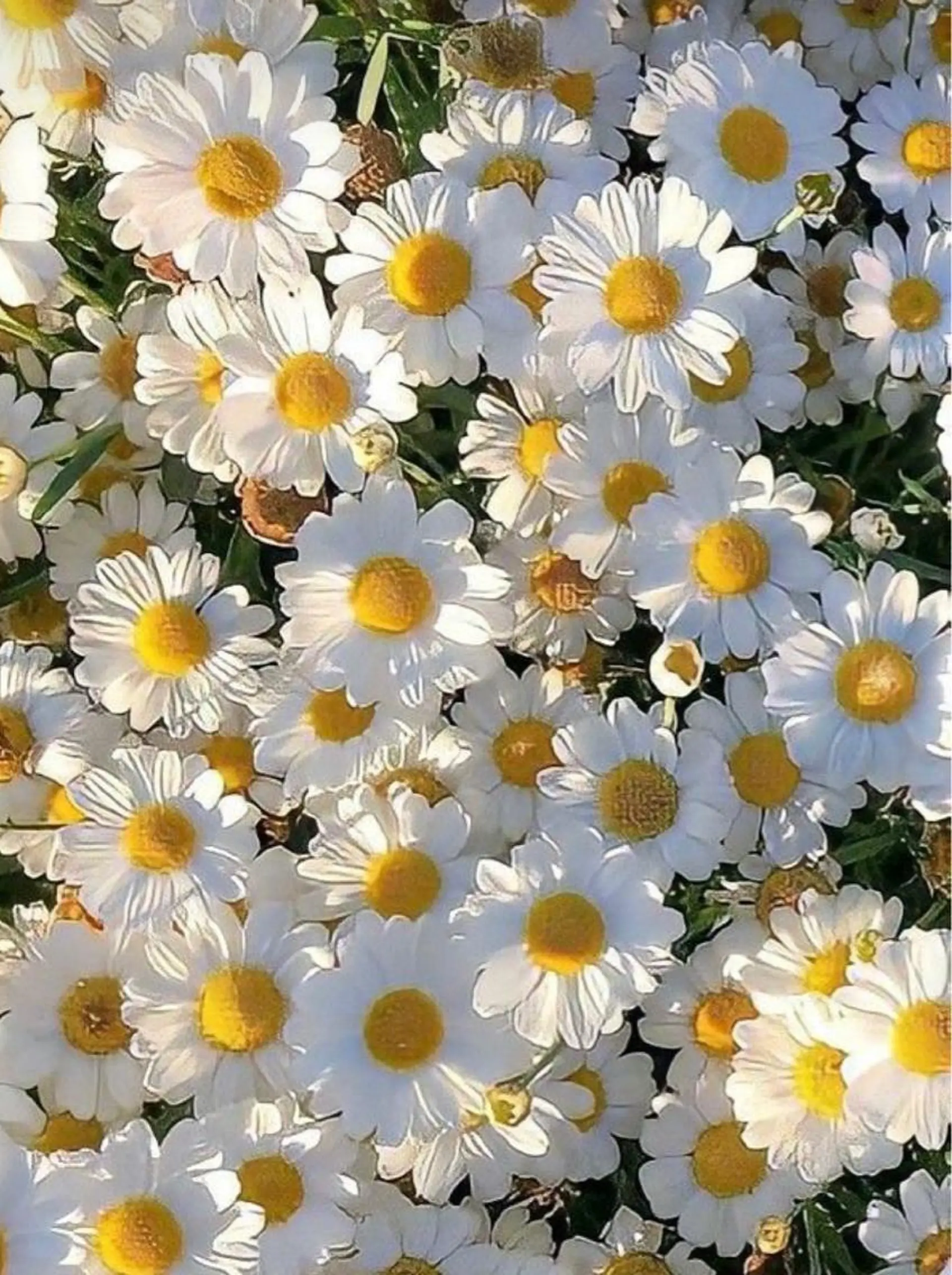 Bless hair &spa所属・🫧縮毛矯正／カラー ／bless松浦🫧のヘアスタイル