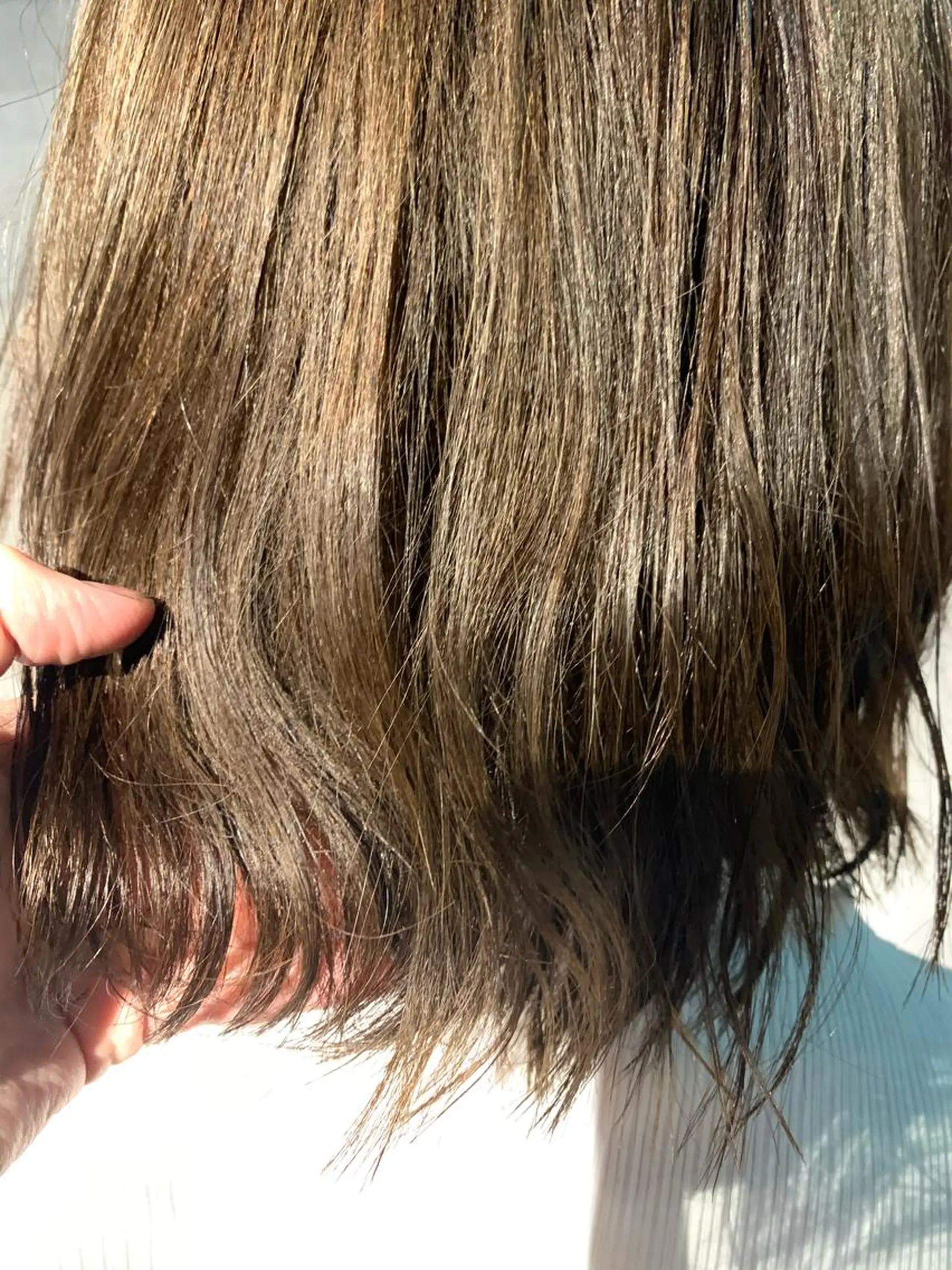 ショート カラー オレンジ 島守 桃香のヘアスタイル