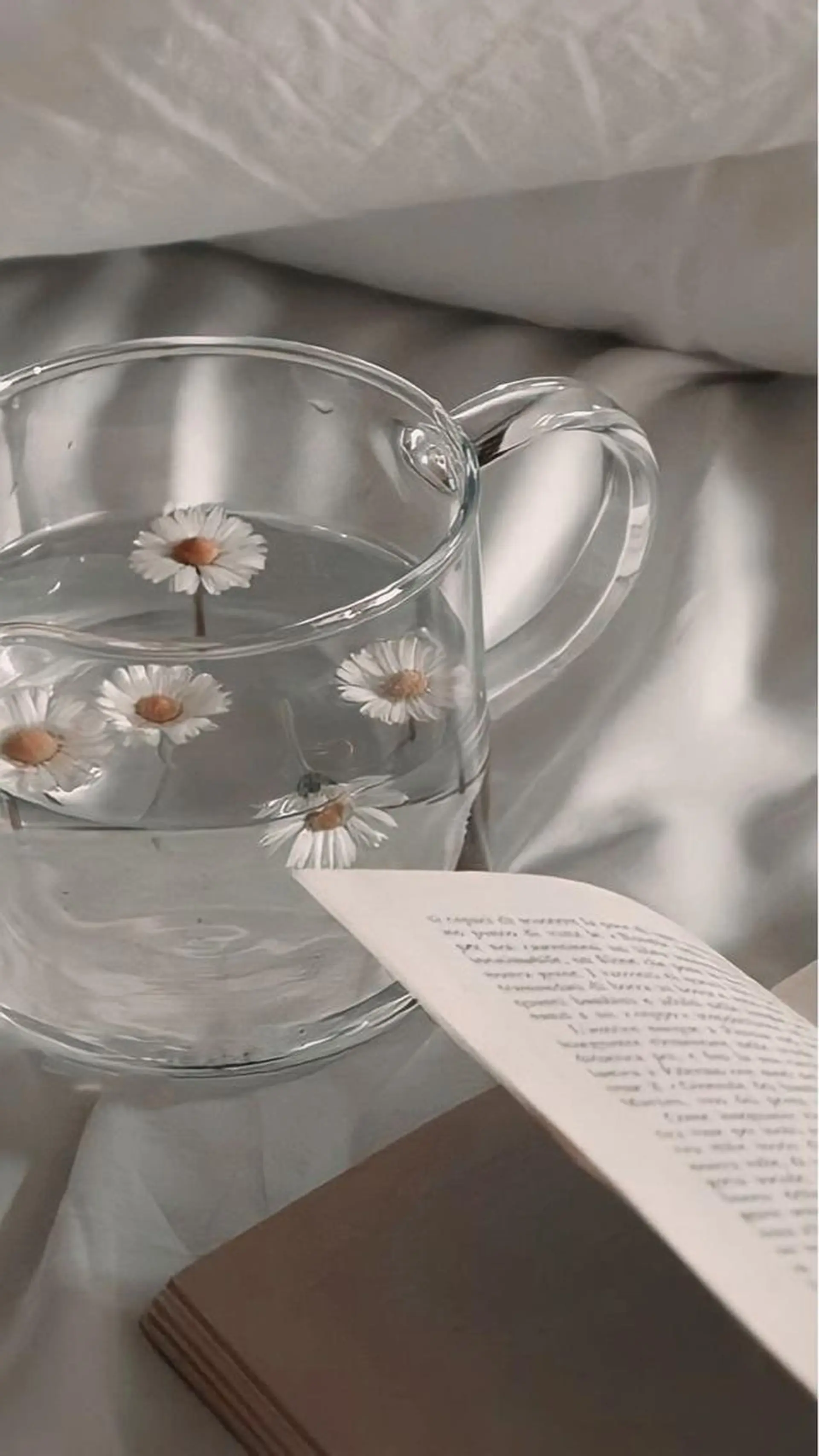 パリジェンヌ上下 恵比寿ayakaのマツエク・マツパデザイン