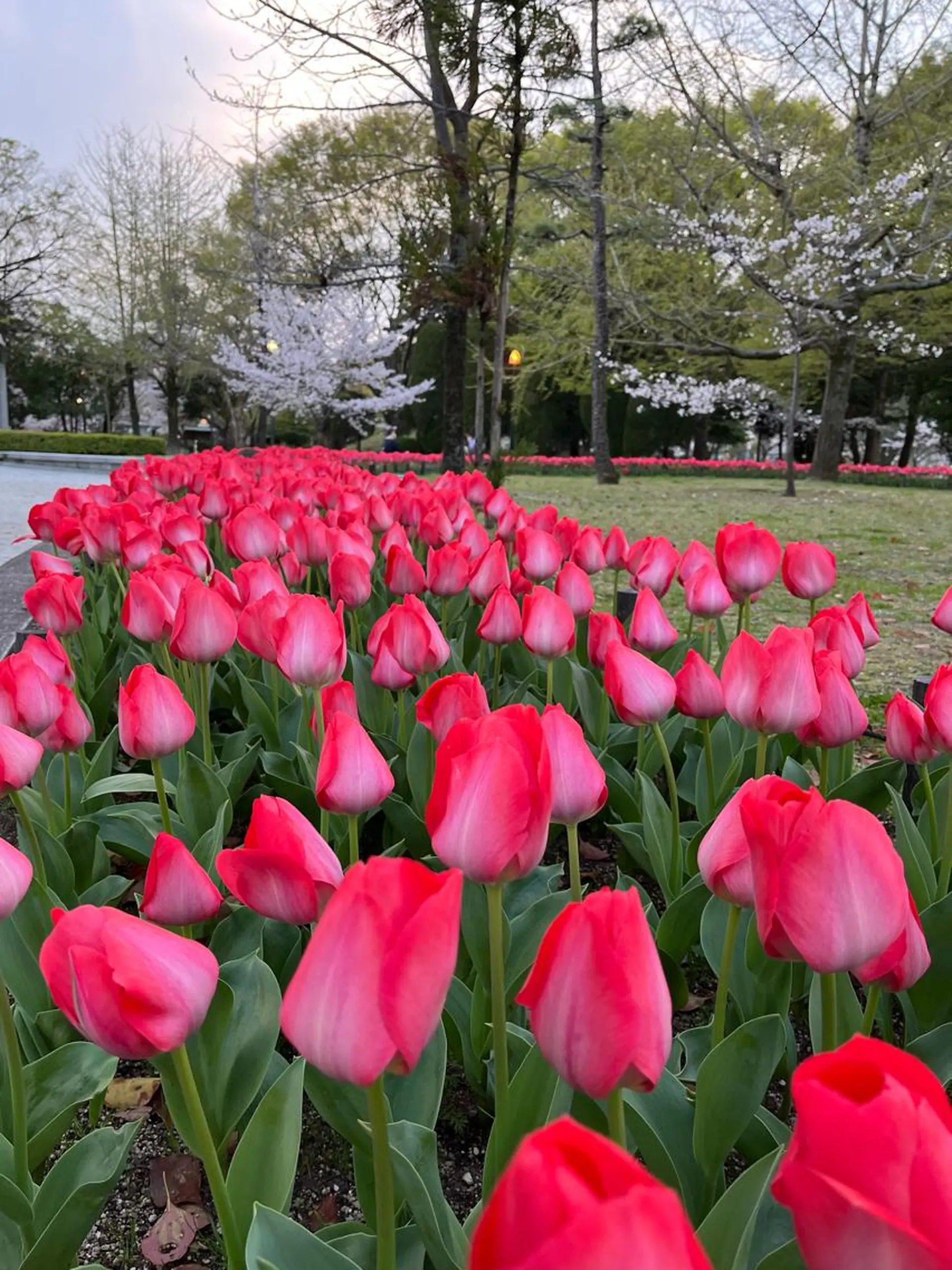 小顔サロン AMYONのエステ・リラクイメージ