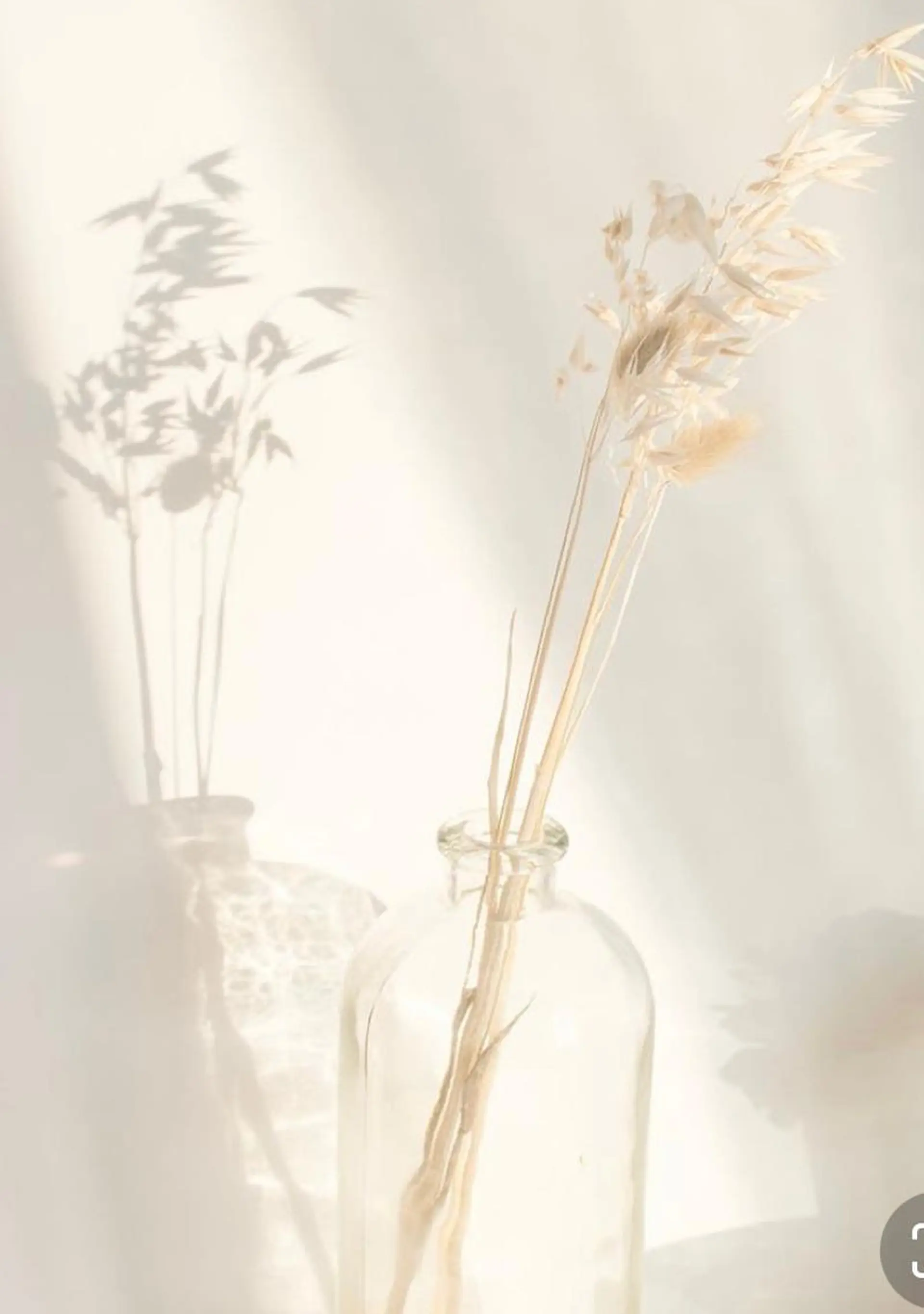 THE DAY所属・AKI HASHIMOTOのヘアスタイル