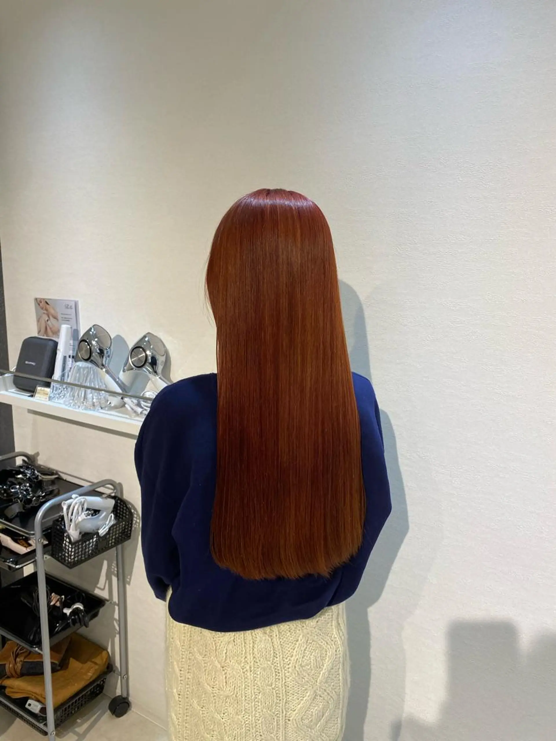 ロング カラー ブラウンカラー レッドカラー レッドブラウン 縮毛矯正とレイヤー /杉村凜汰郎のヘアスタイル