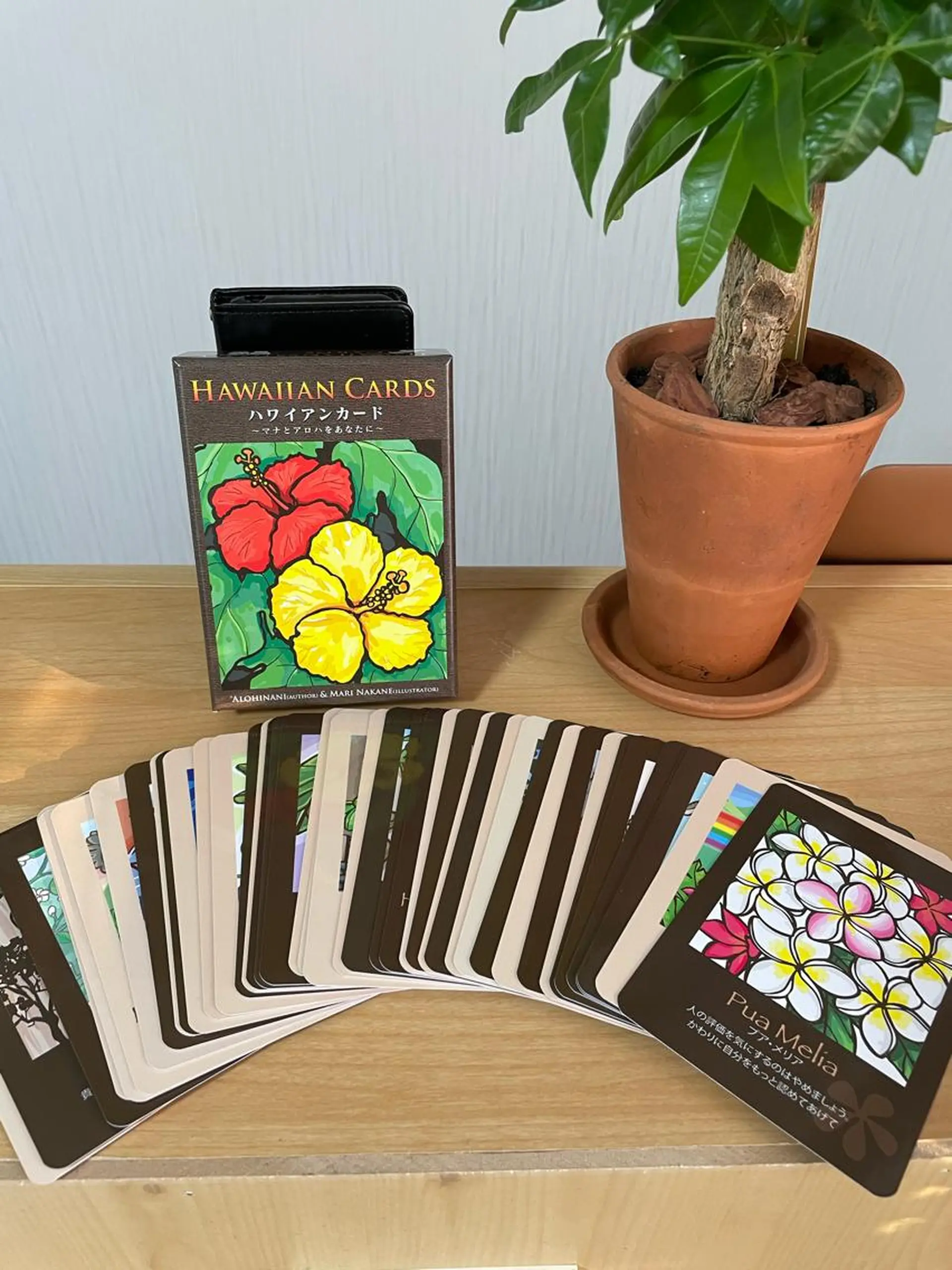 any🏝 エニーのマツエク・マツパデザイン