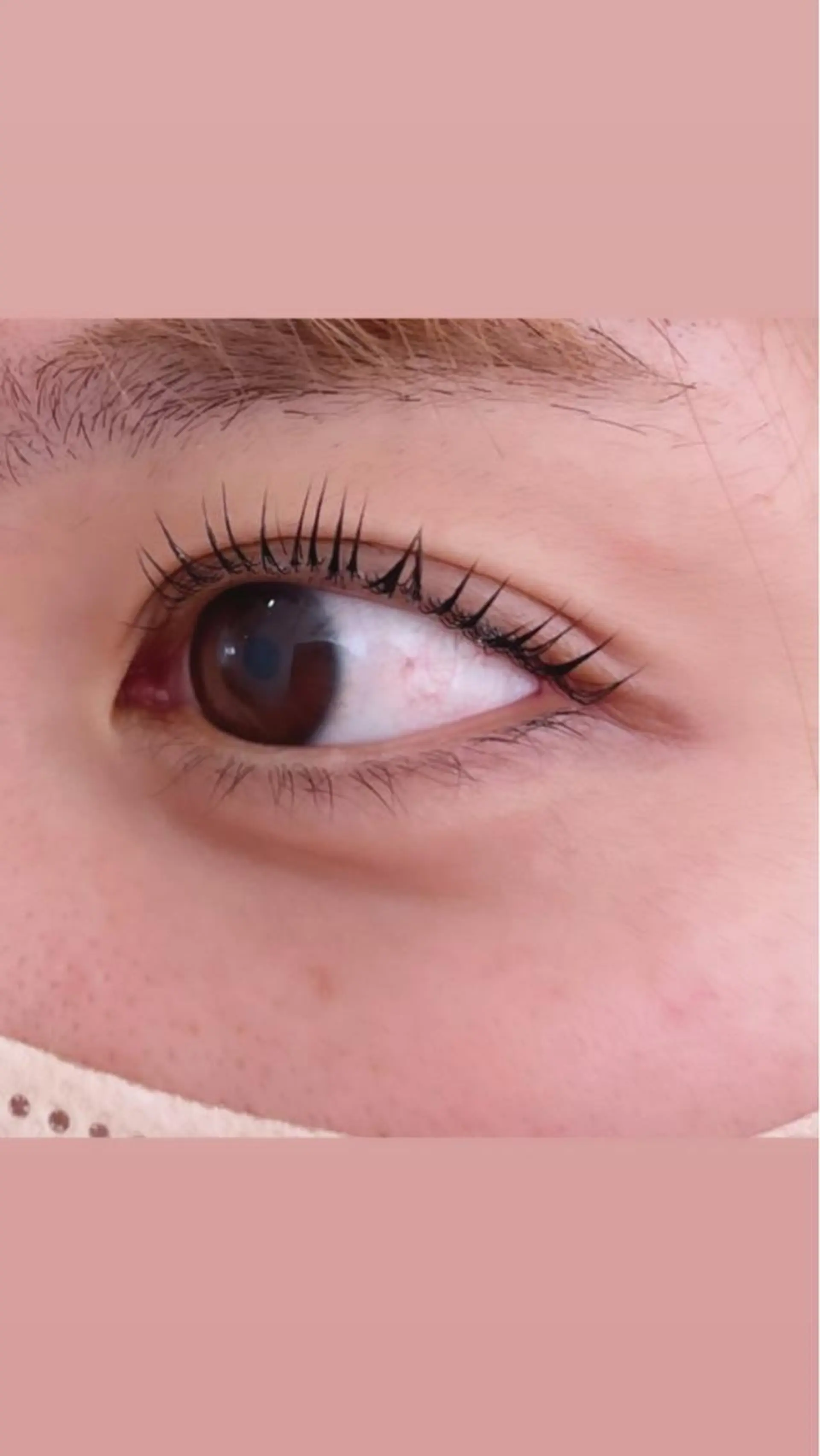 マツエク・マツパ パリジェンヌラッシュリフト 山脇🐋🤍 アンジェリカ錦糸町のマツエク・マツパデザイン