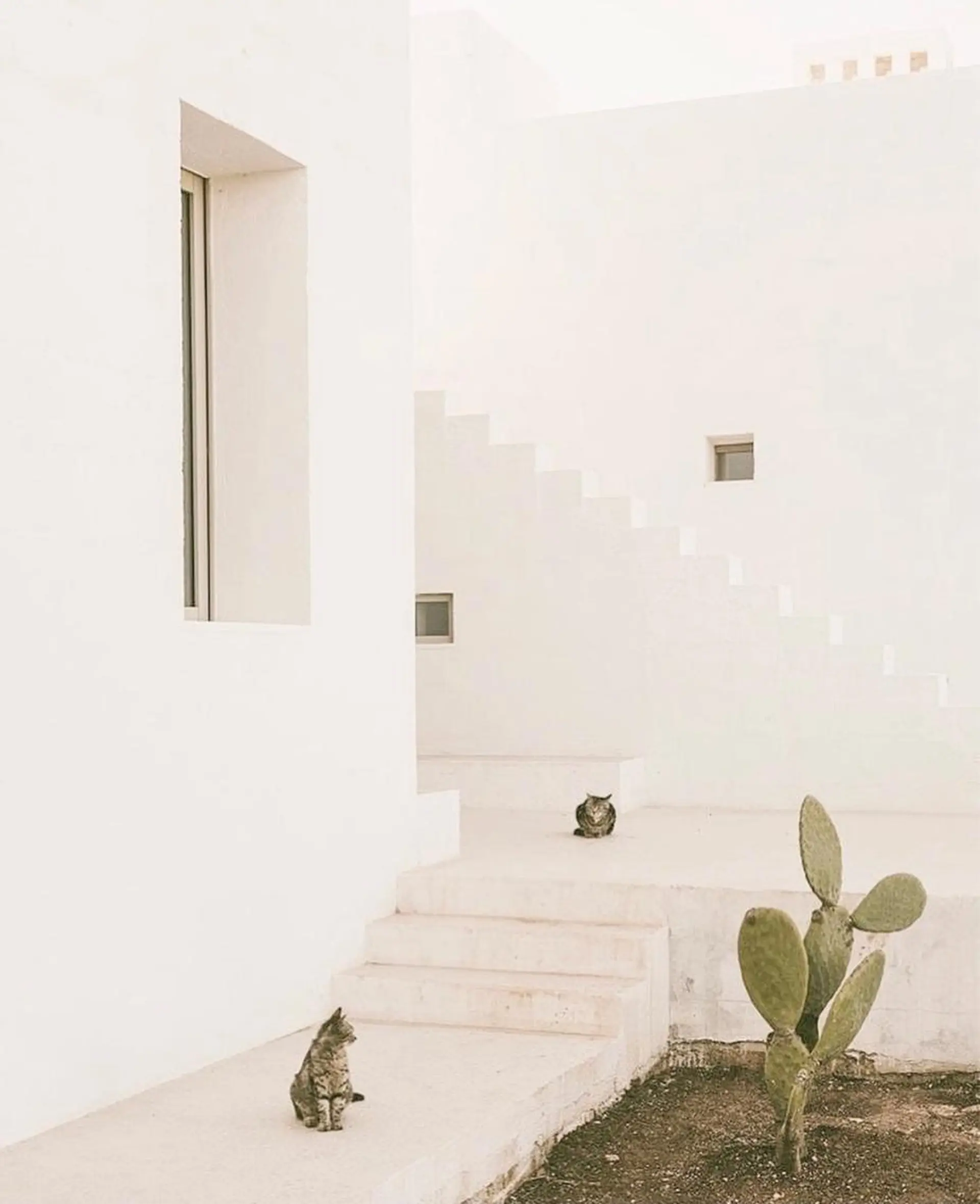 髪質改善🫧美髪矯正 🤍Yuiのヘアスタイル