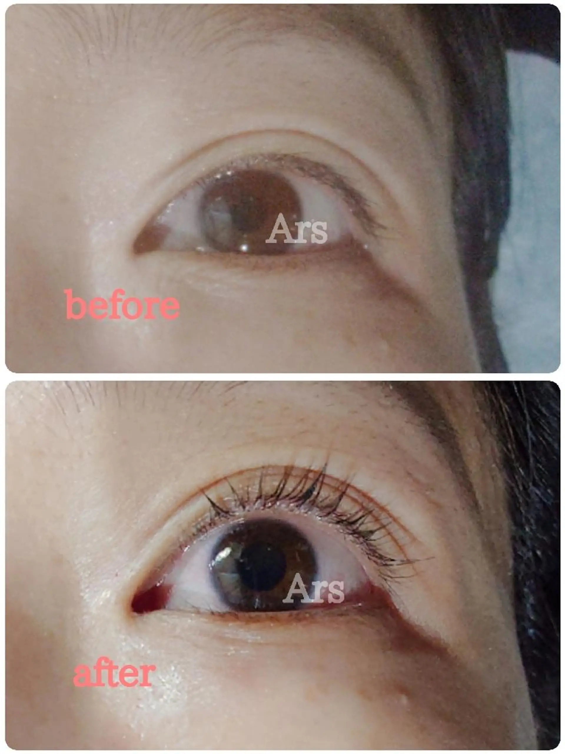 マツエク・マツパ アイリッドアップパーマ Ars  (ｱﾙｽ)所属・Ars      (ｱﾙｽ)のマツエク・マツパデザイン