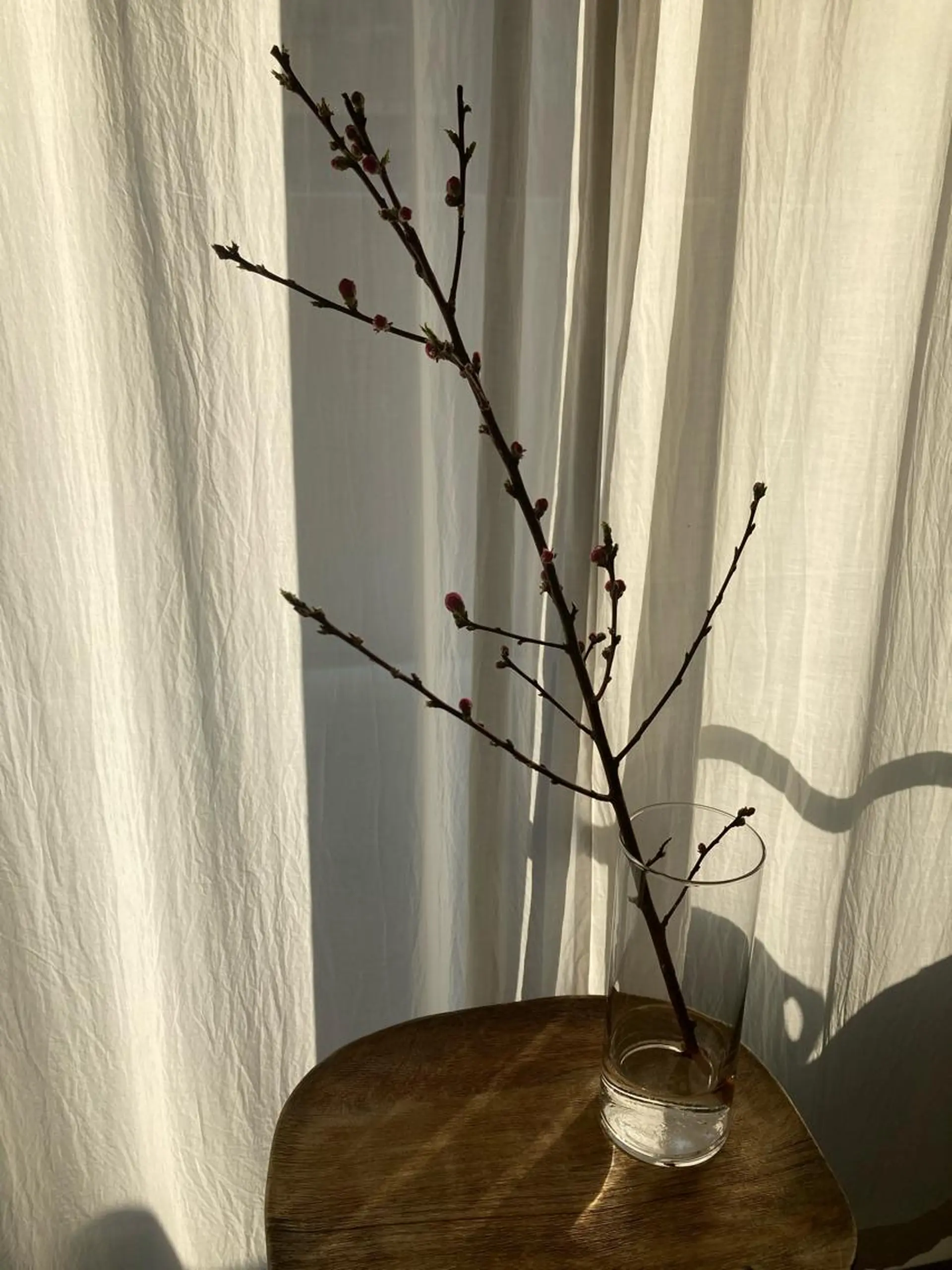 毛穴ケア・肌質改善 徳川のエステ・リラクイメージ