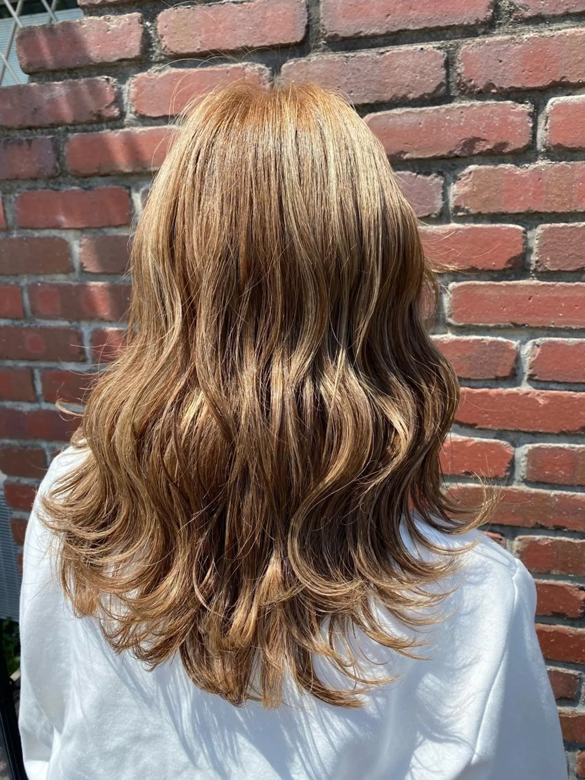 セミロング ハッシュカット タンバルモリ ヨシンモリ ムルギョル巻き 韓国風ヘア ヘアセット 銀座/髪質改善/韓国 カラー🍓原田侑依のヘアスタイル