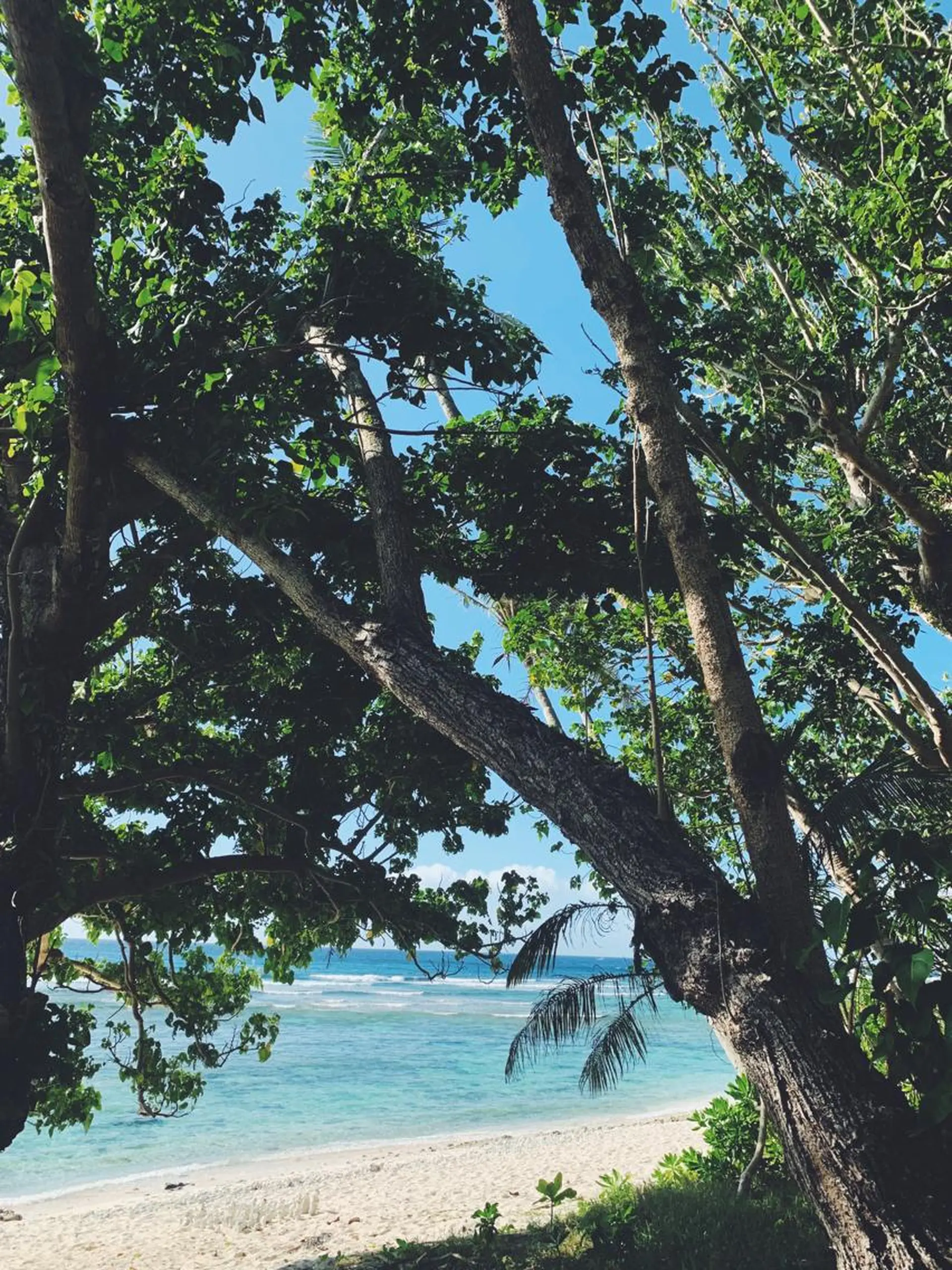 𝐘𝐎𝐒𝐇𝐈 𝐌𝐈🌞🏝のマツエク・マツパデザイン