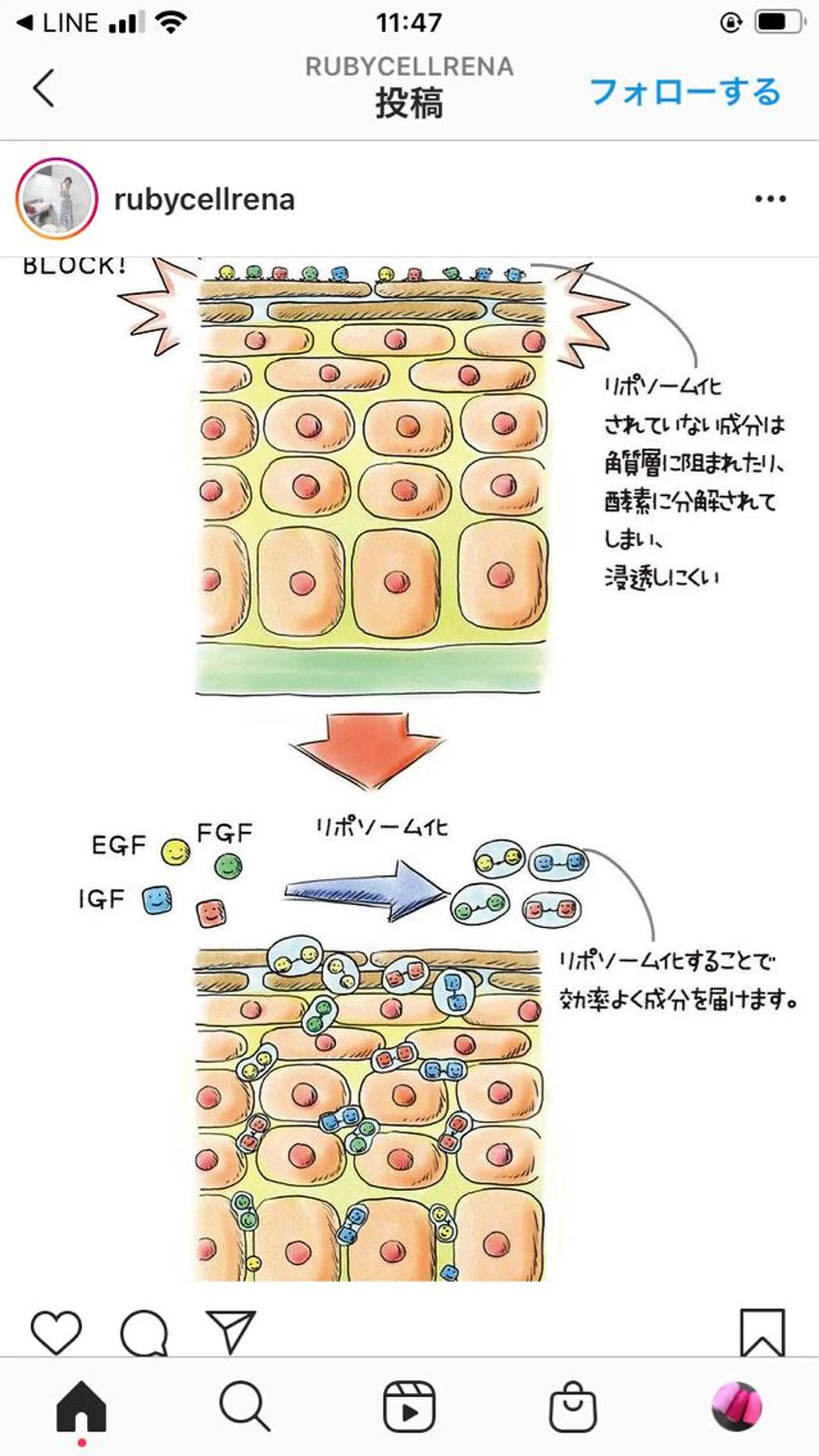 産毛専門店 Bittoのエステ・リラクイメージ