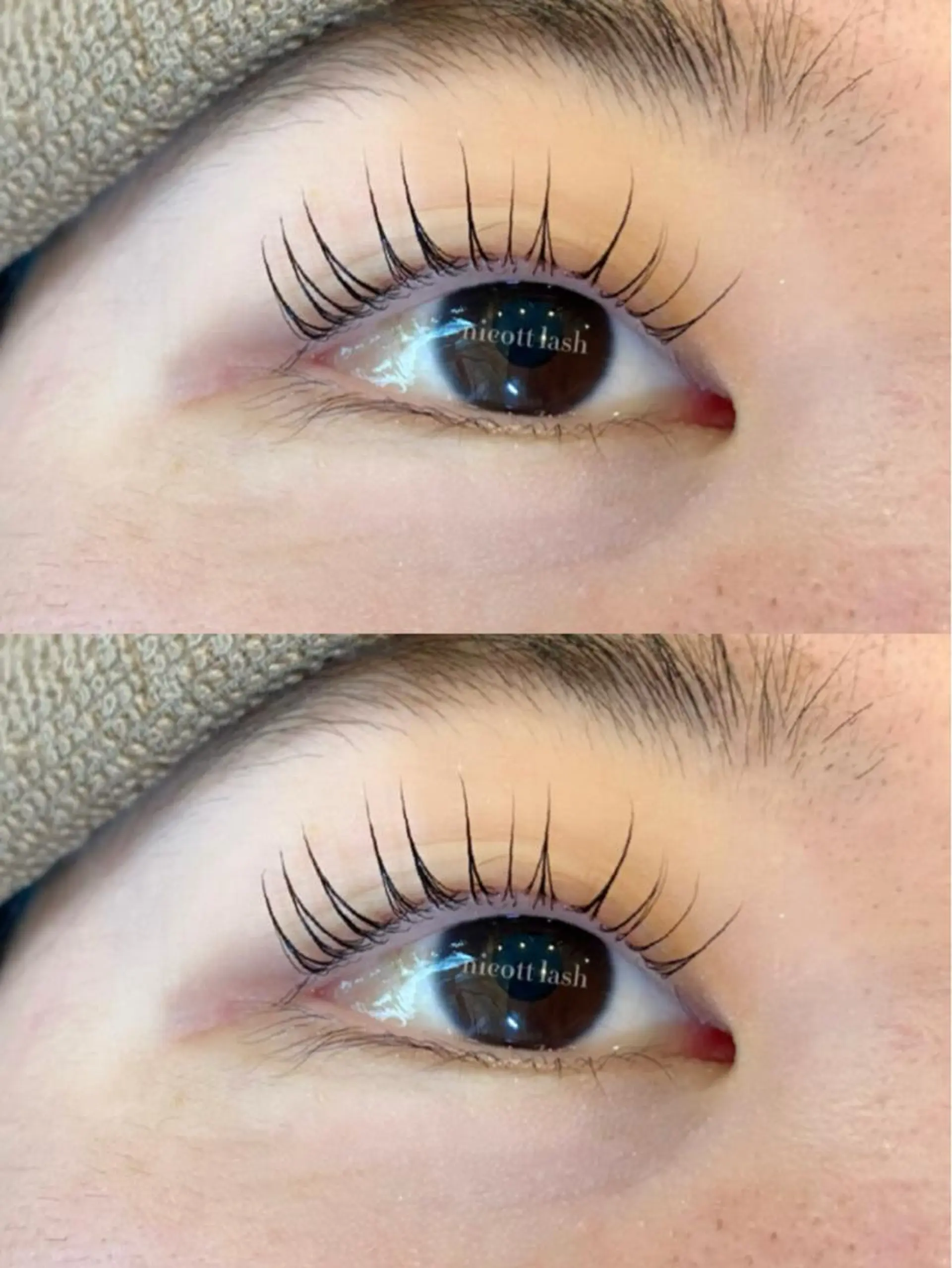 マツエク・マツパ パリジェンヌラッシュリフト デイジーラッシュ 天王寺　南のマツエク・マツパデザイン