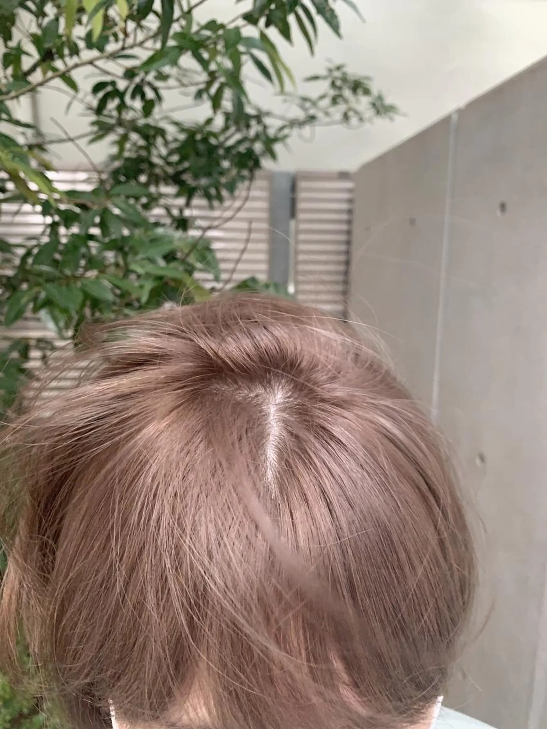 ショート カラー 🌿nudeカラー/ レイヤー/藤原🌿のヘアスタイル