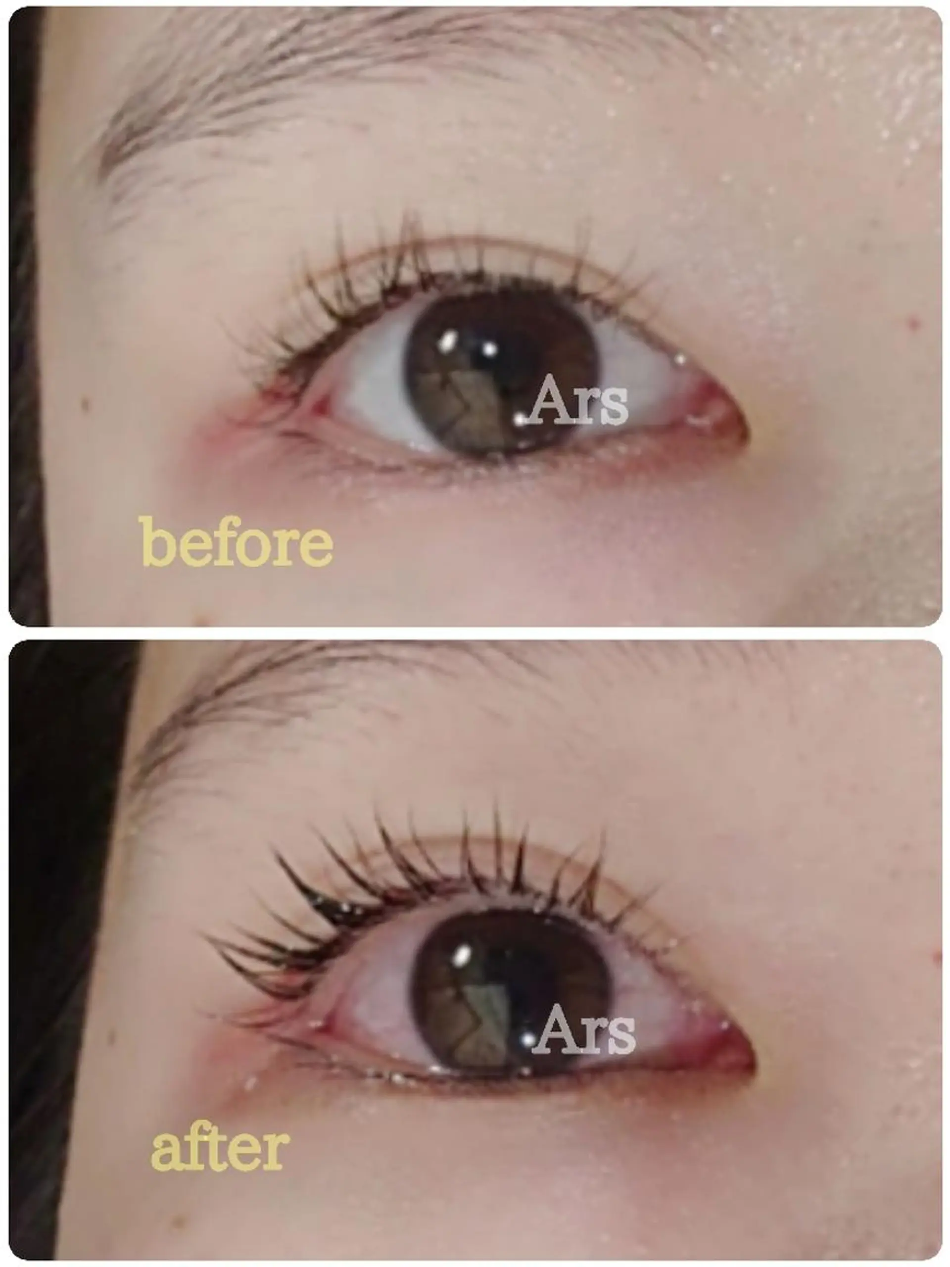 マツエク・マツパ アイリッドアップパーマ Ars (アルス)所属・Ars (アルス)のマツエク・マツパデザイン