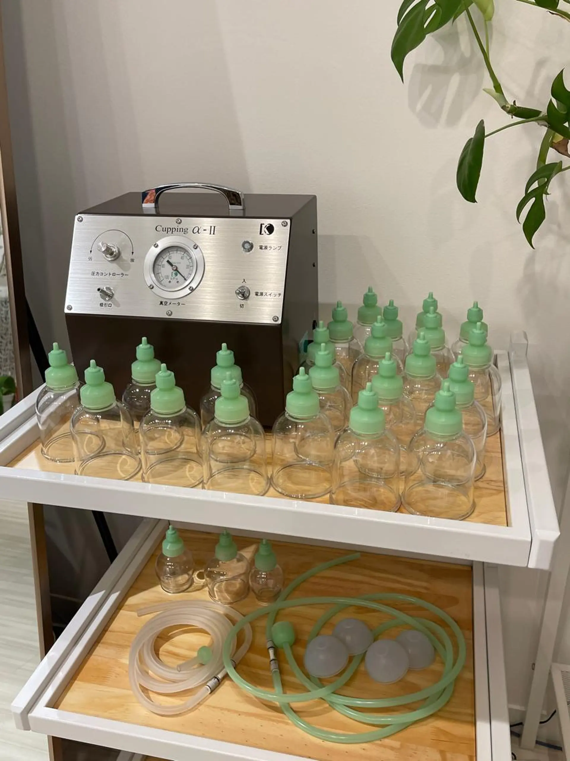 白金台よもぎ蒸し メテオアヴェニューのエステ・リラクイメージ